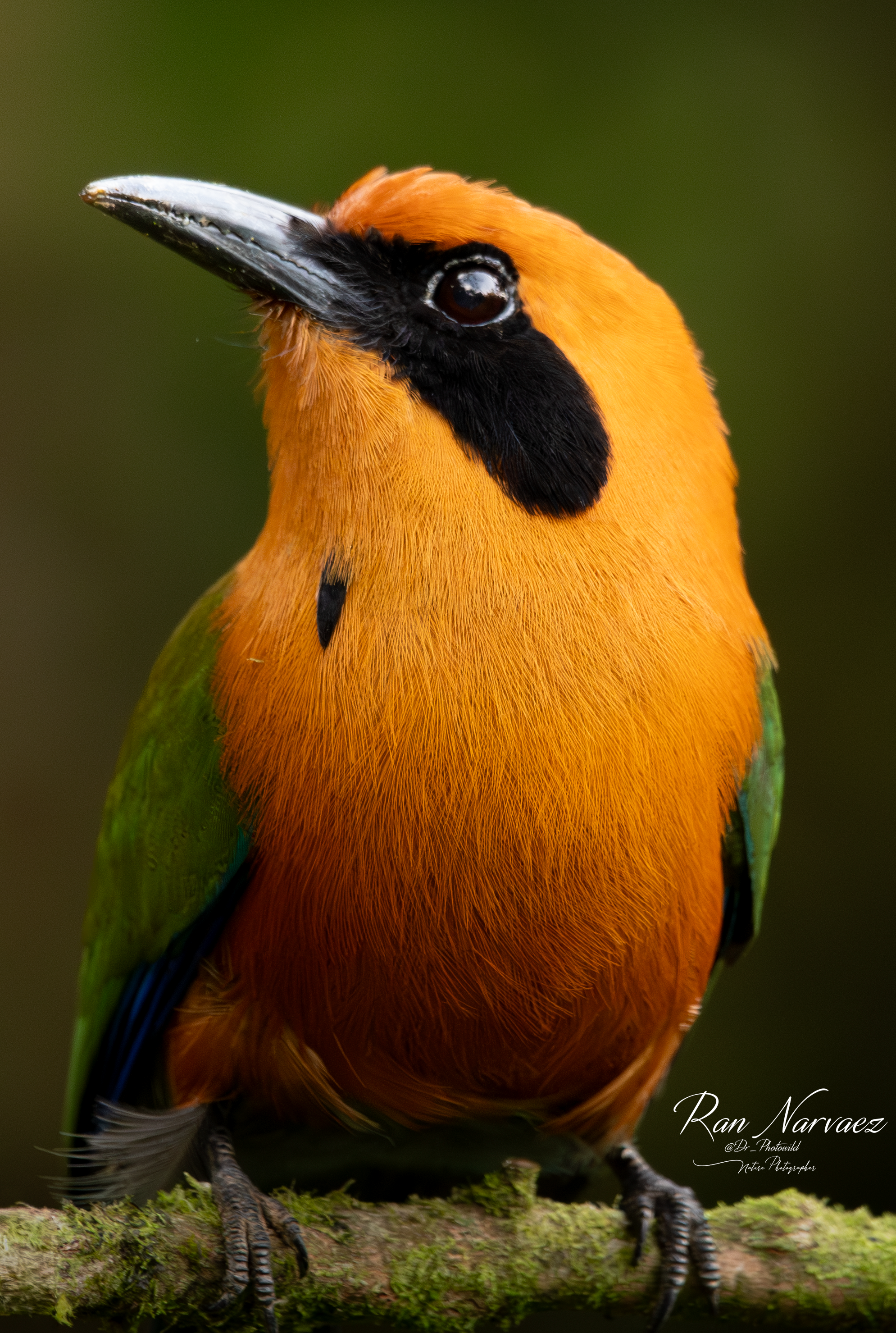 DSC_3605.PNG