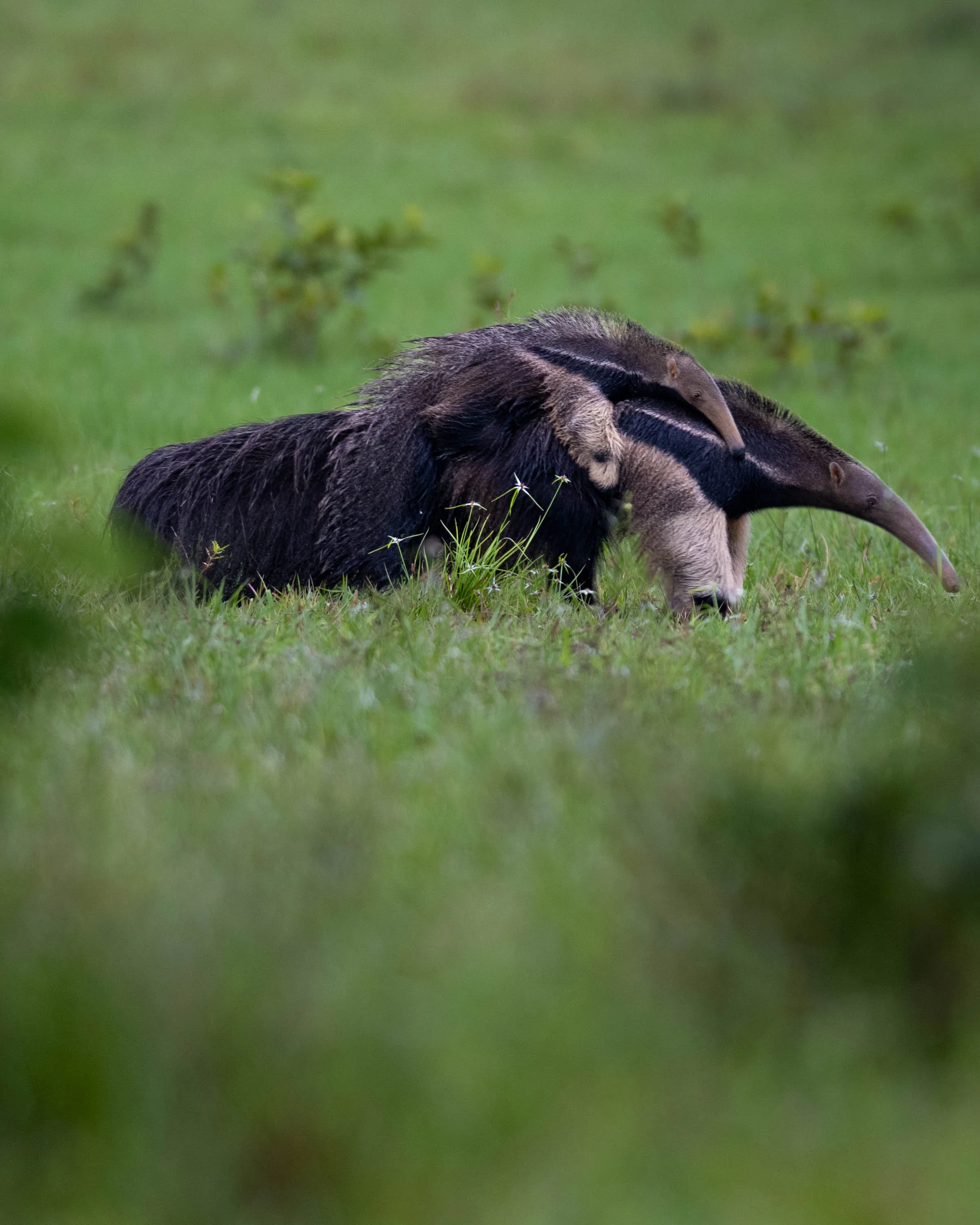 DSC_6407.jpg