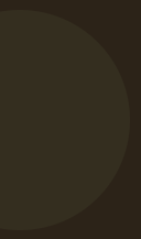 A dark circle on a plain background