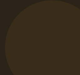 A dark brown circle on a lighter brown background.
