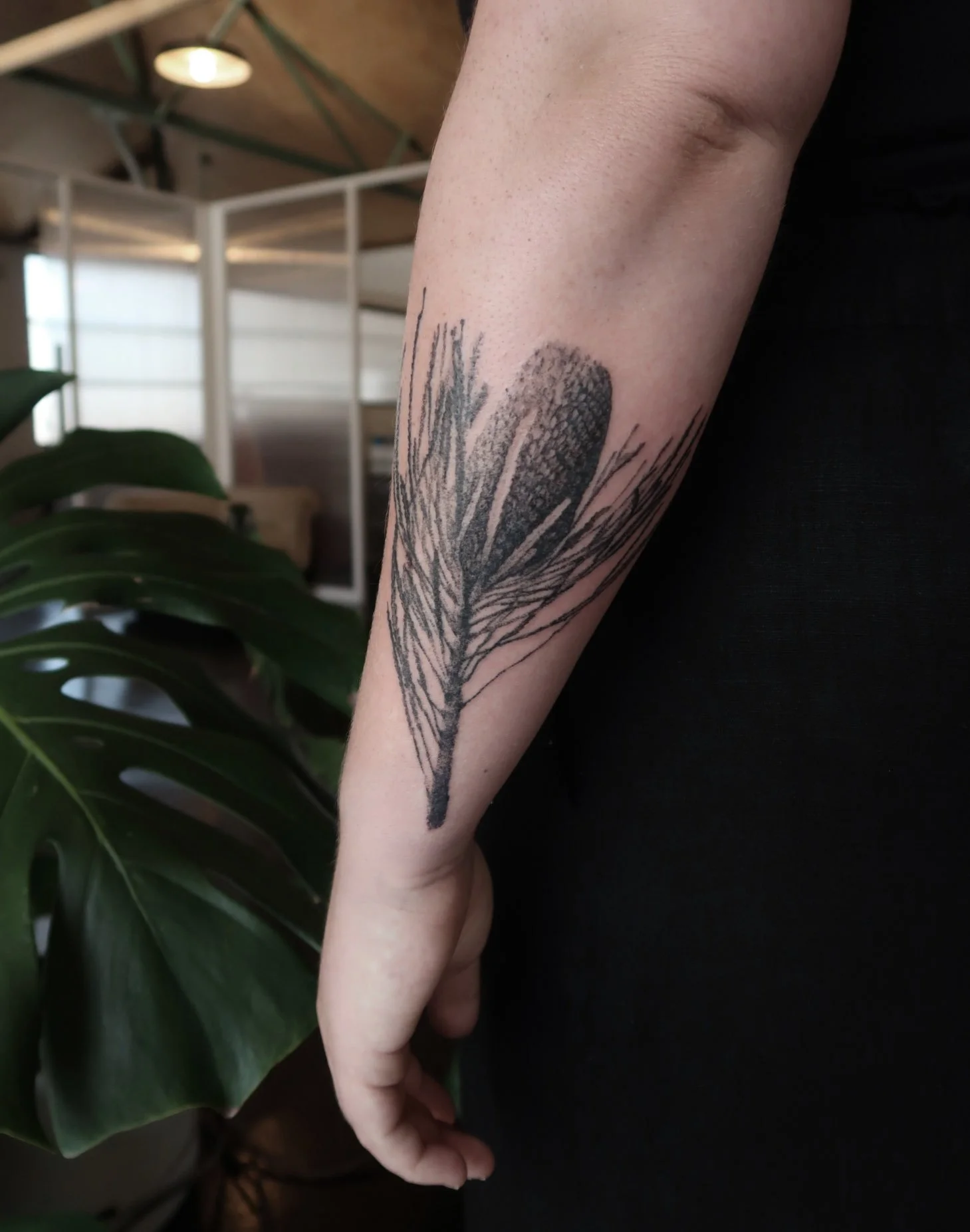 Back of the forearm with a dotwork tattoo of a banksia tattooed by Jak