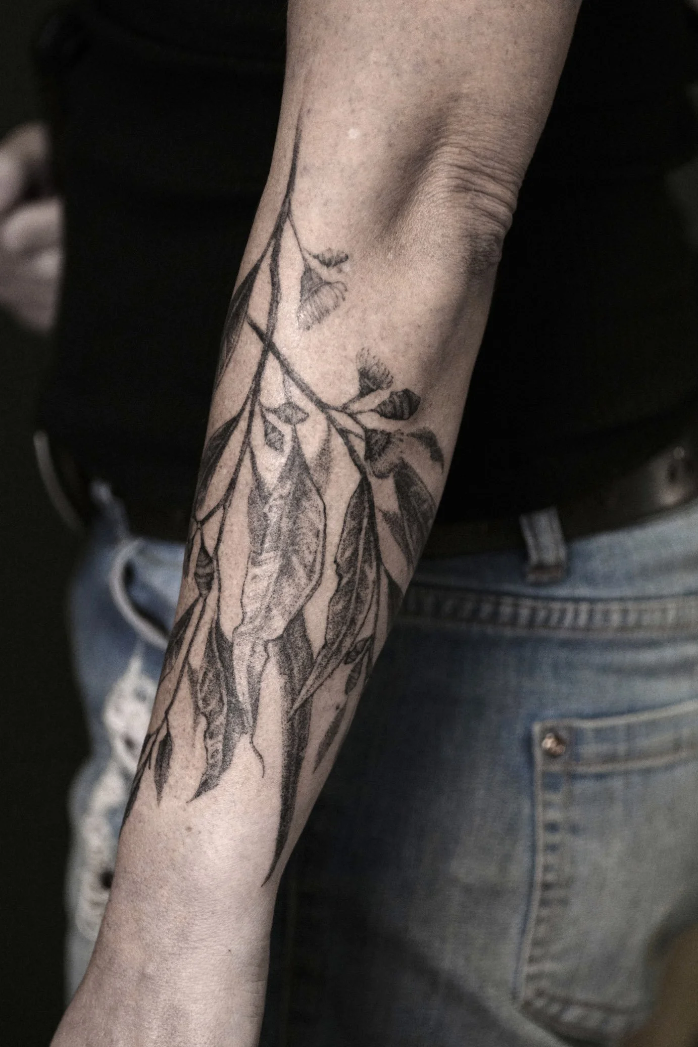 Bold gum branch drawn on a forearm and tattooed by Jak