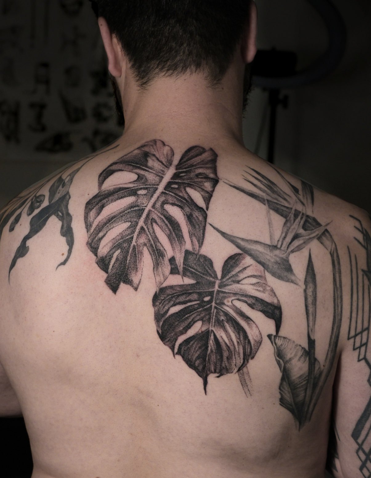 Highly detailed large monstera leaves in black and grey on a person's back and shoulder Tattooed by Jak