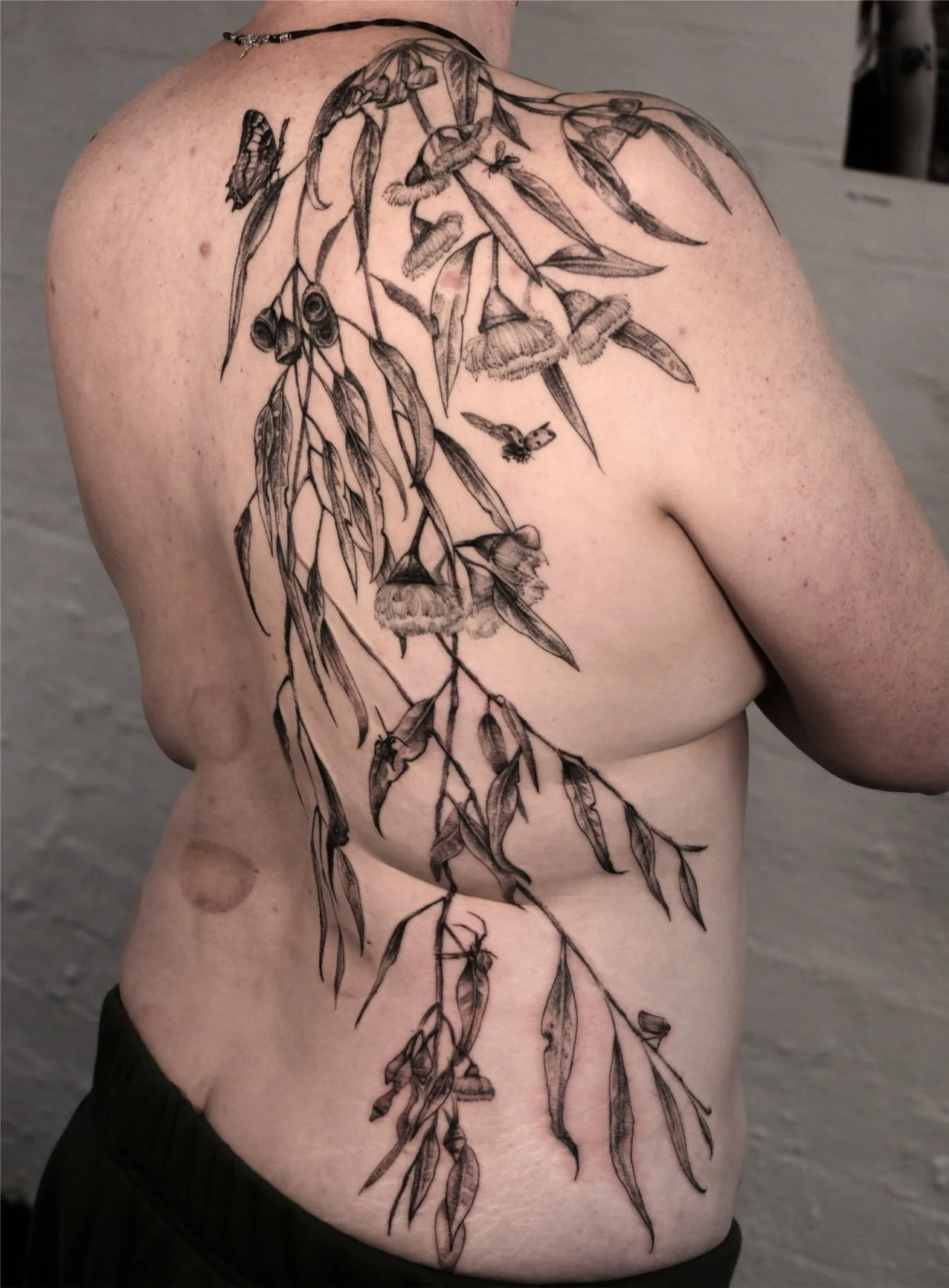 Black and grey tattoo of a silver princess gum with leaves and insects on the shoulder and back tattooed by Jak