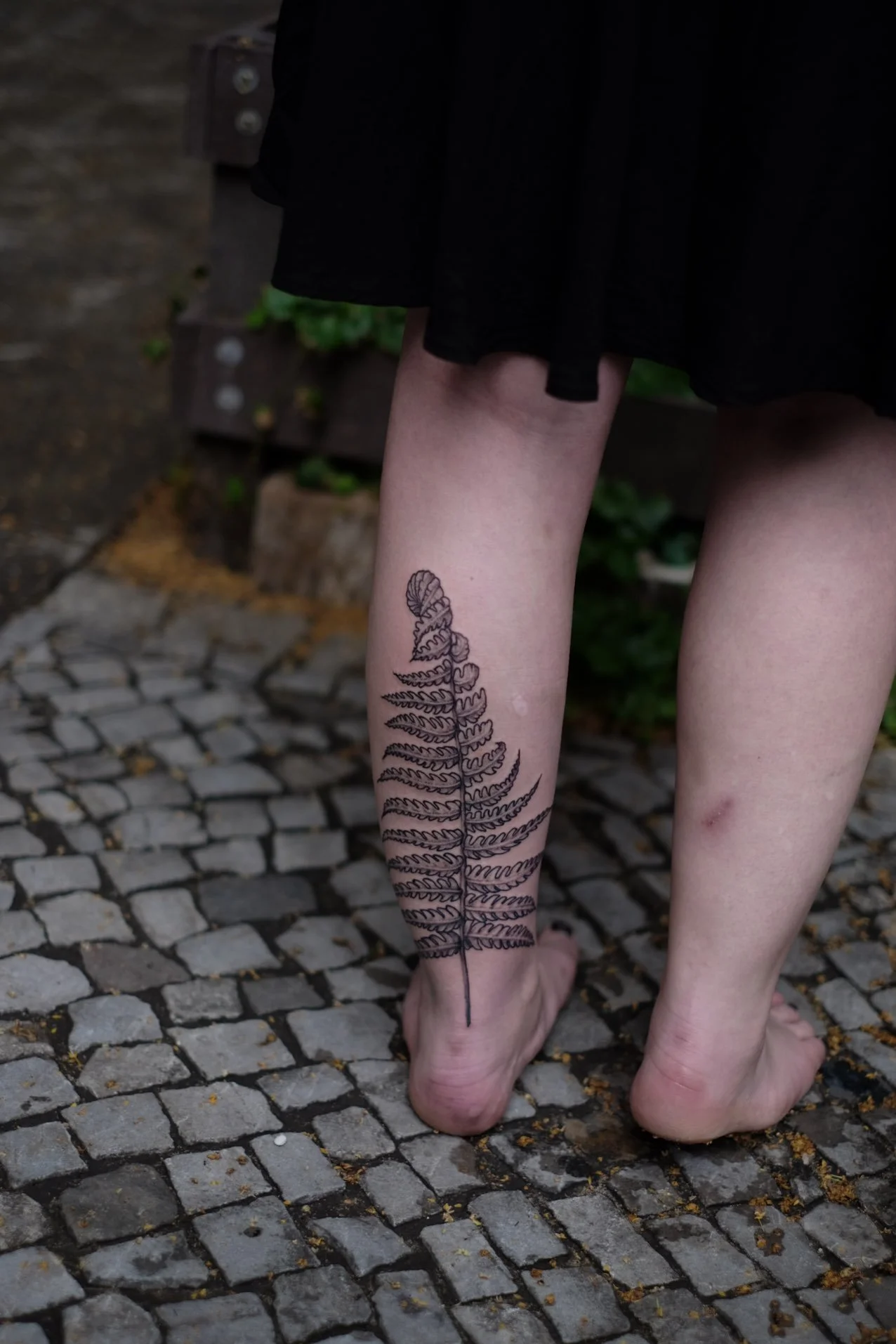 Dotwork botanical tattoo of a large fern leaf on their leg by Jak