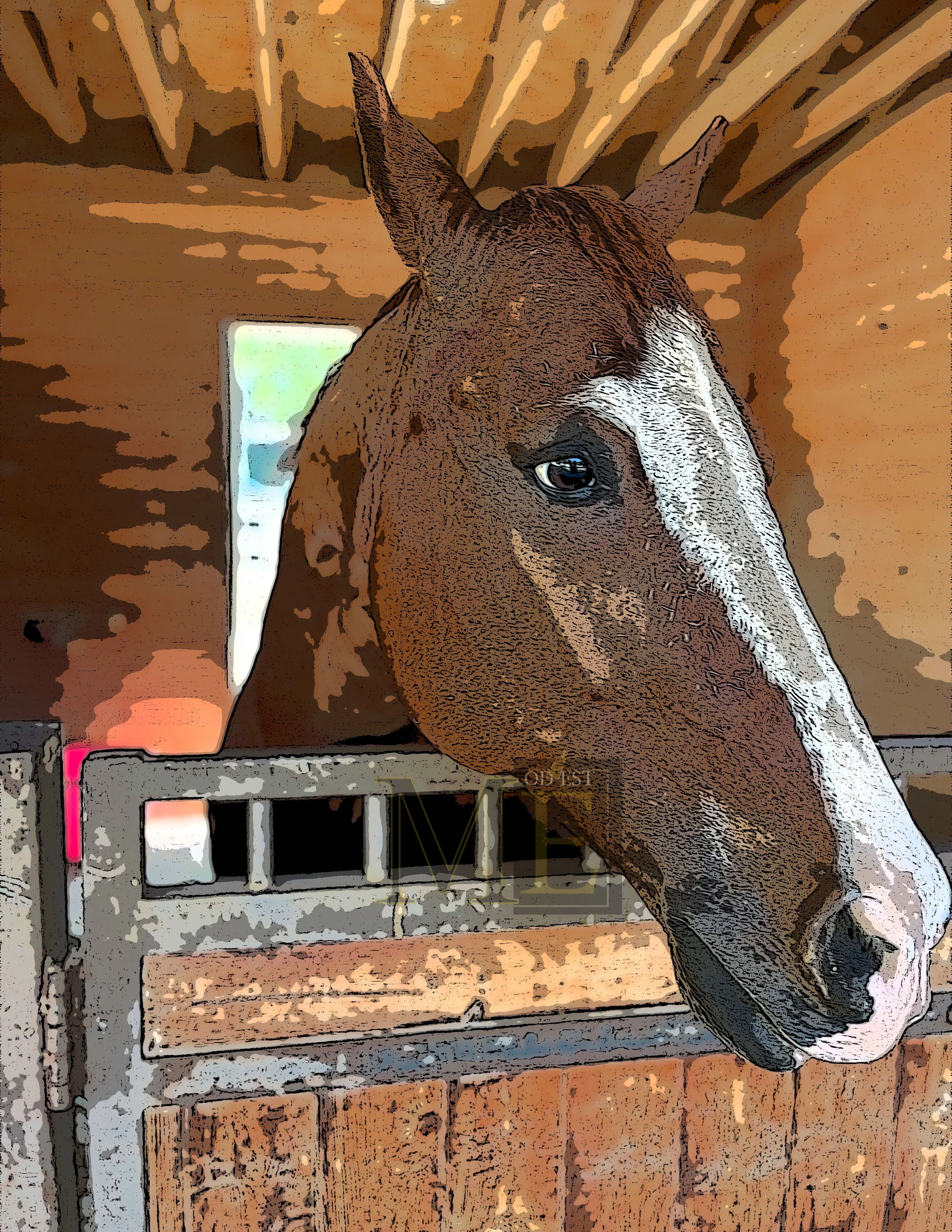 Horse 2-color