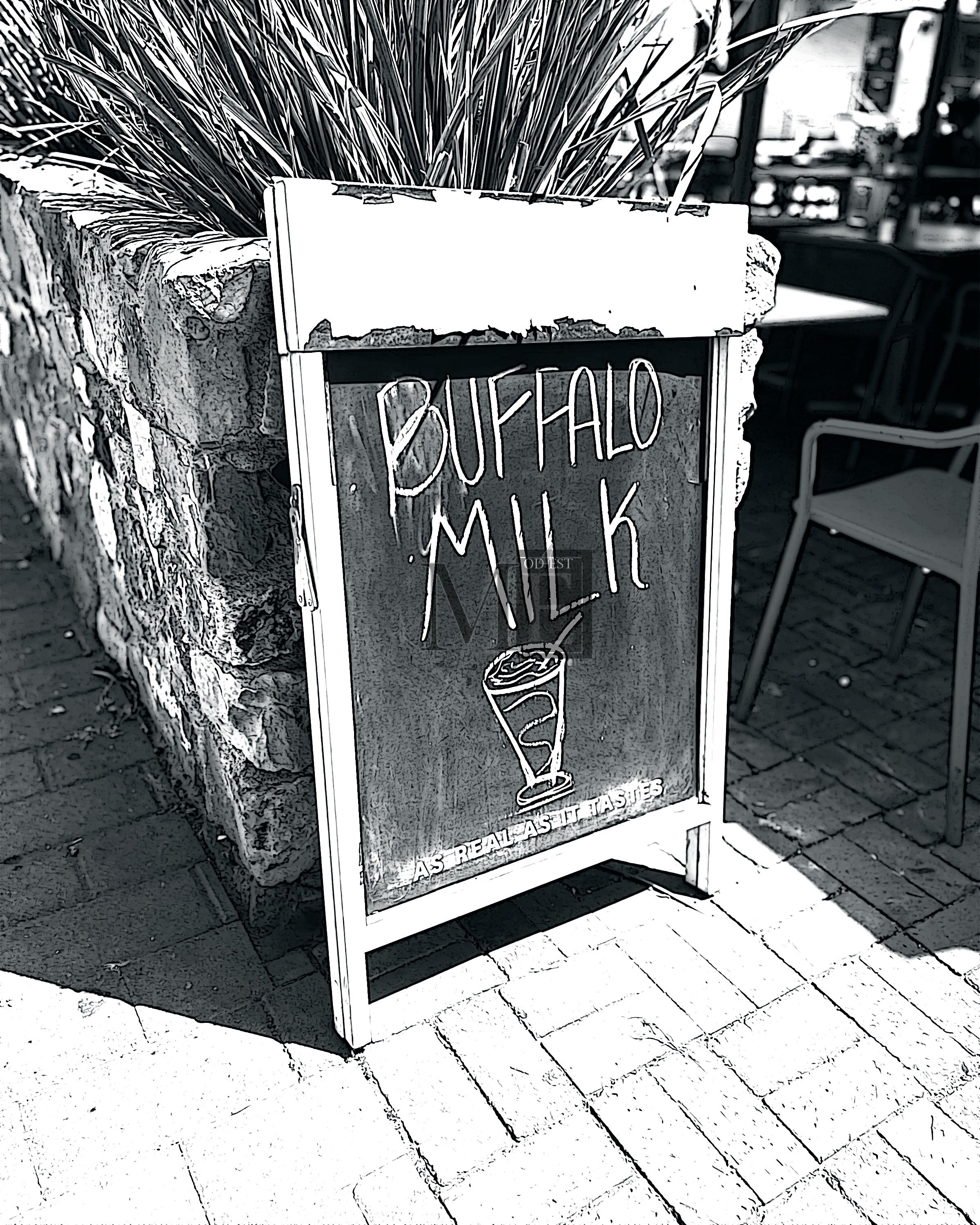 Buffalo Milk 1