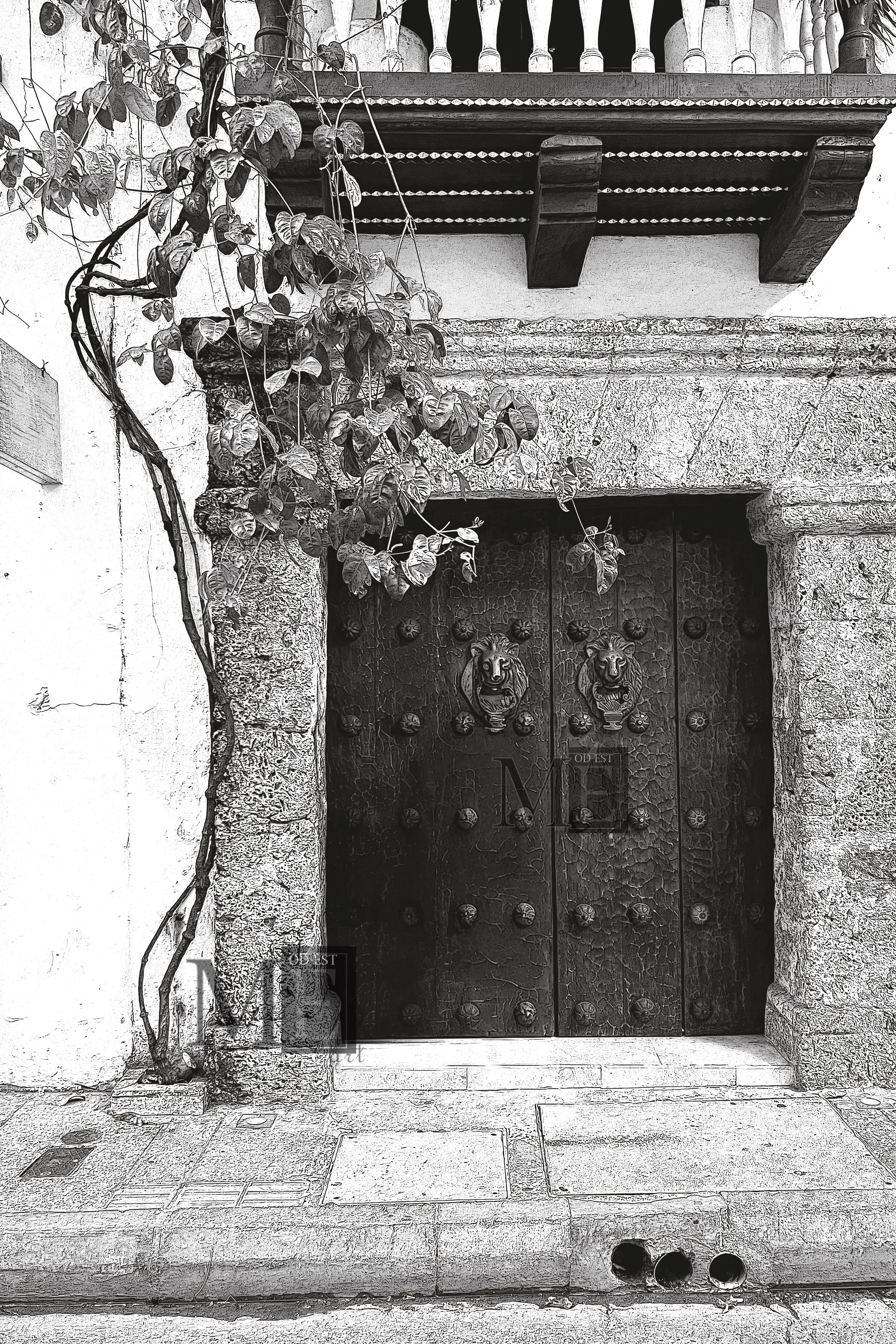 Colombian Door 2