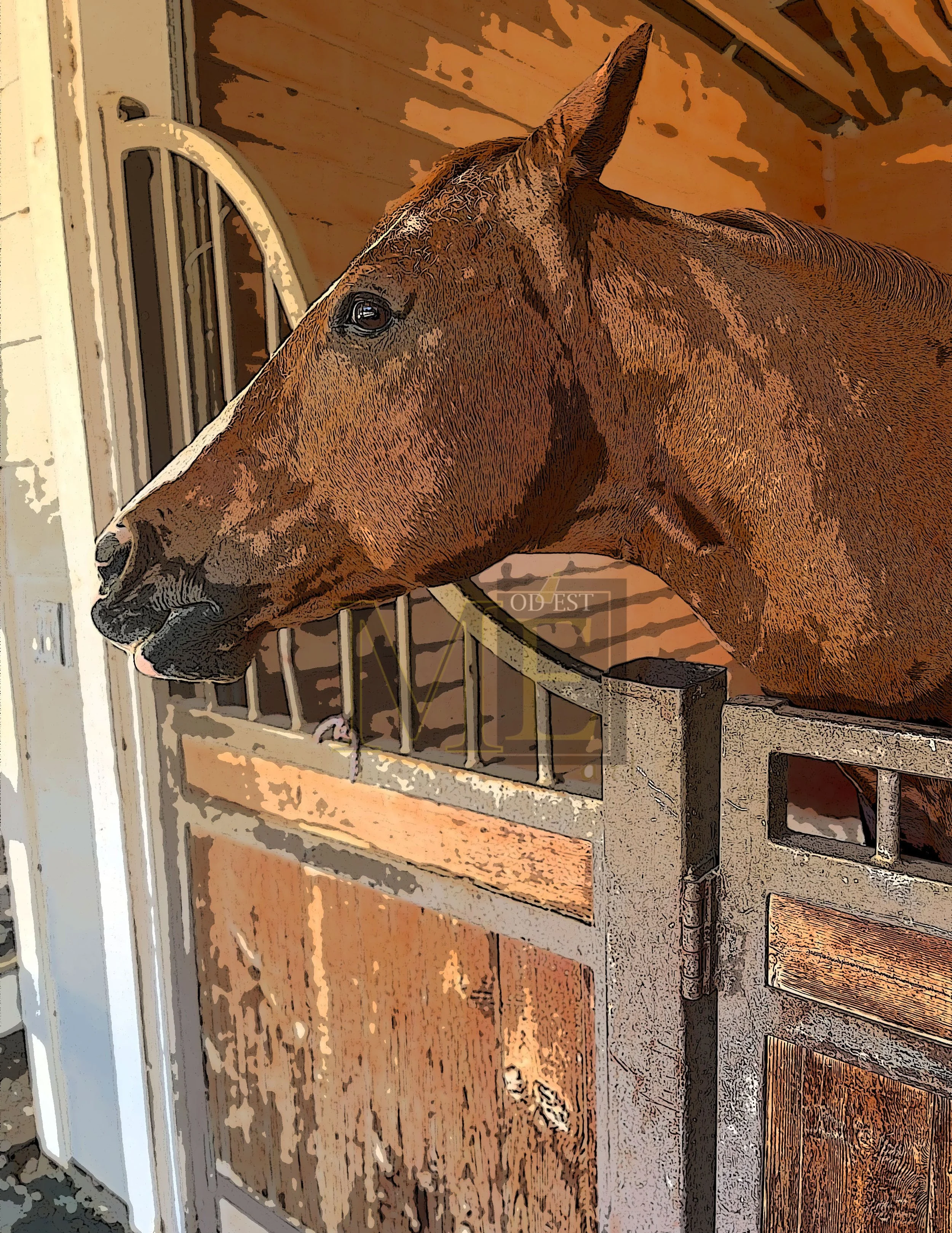 Horse 1-color