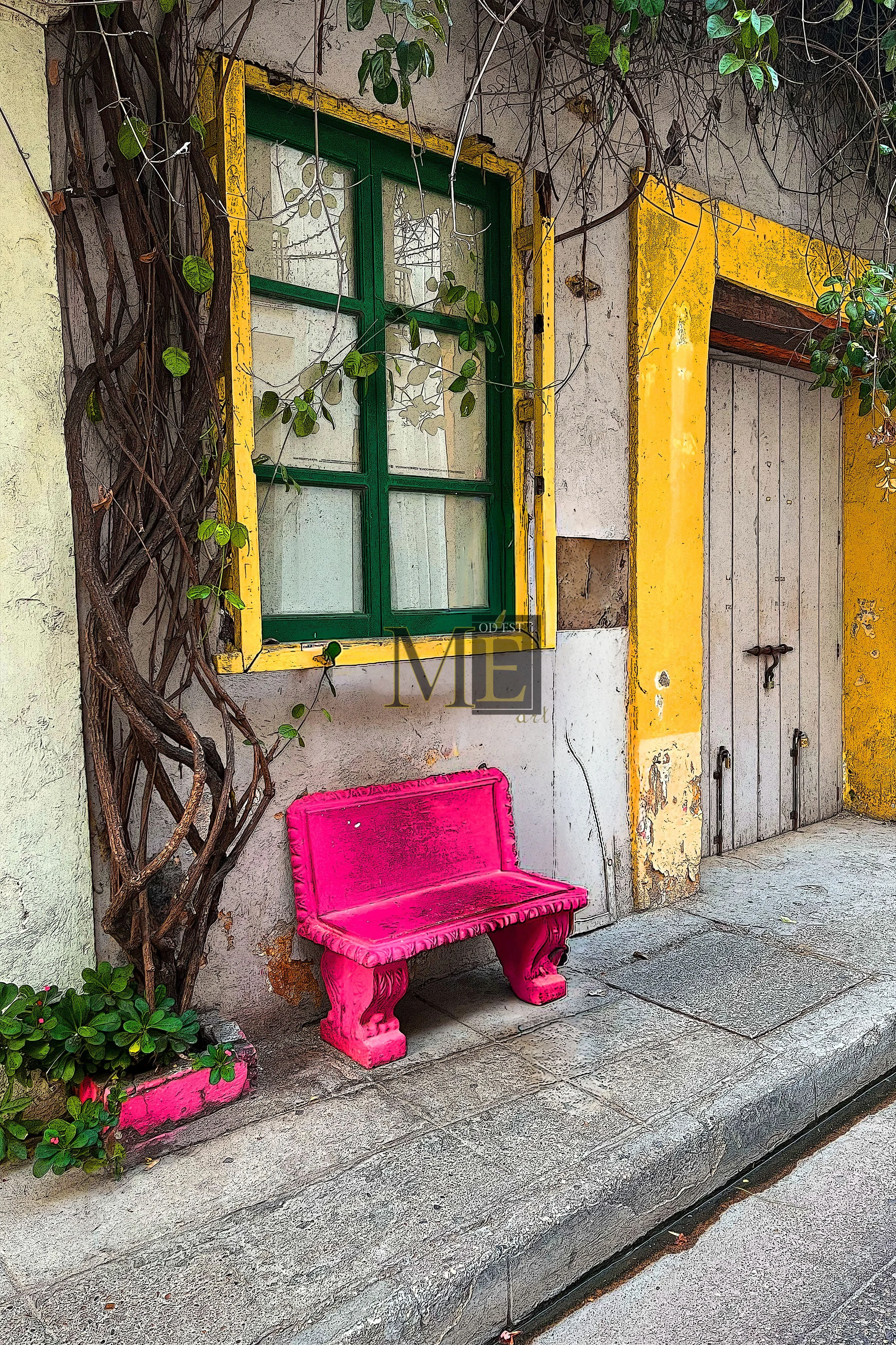 Colombia pink bench 1