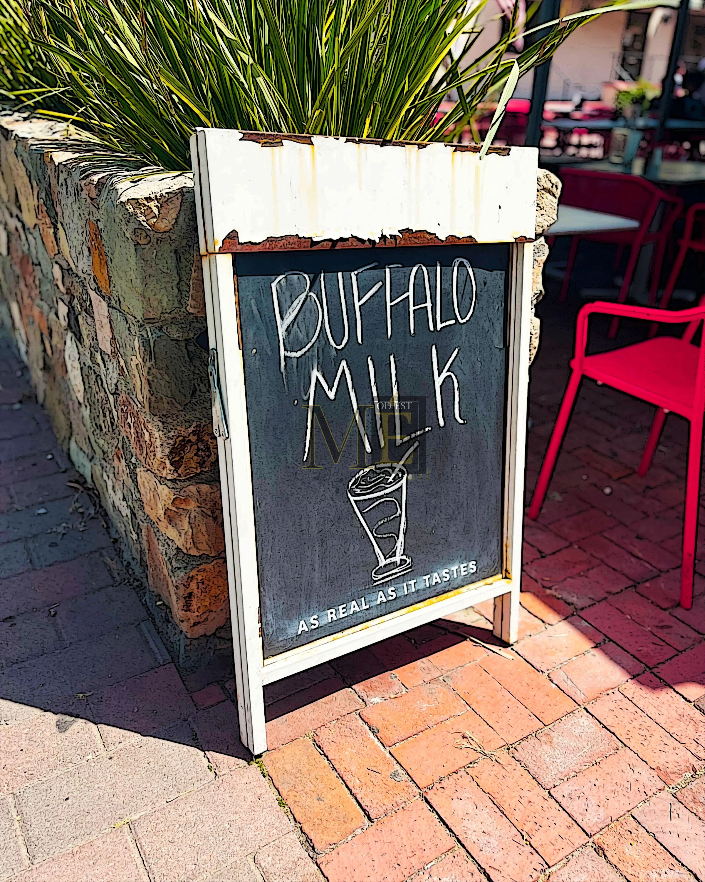 Buffalo Milk-color 1