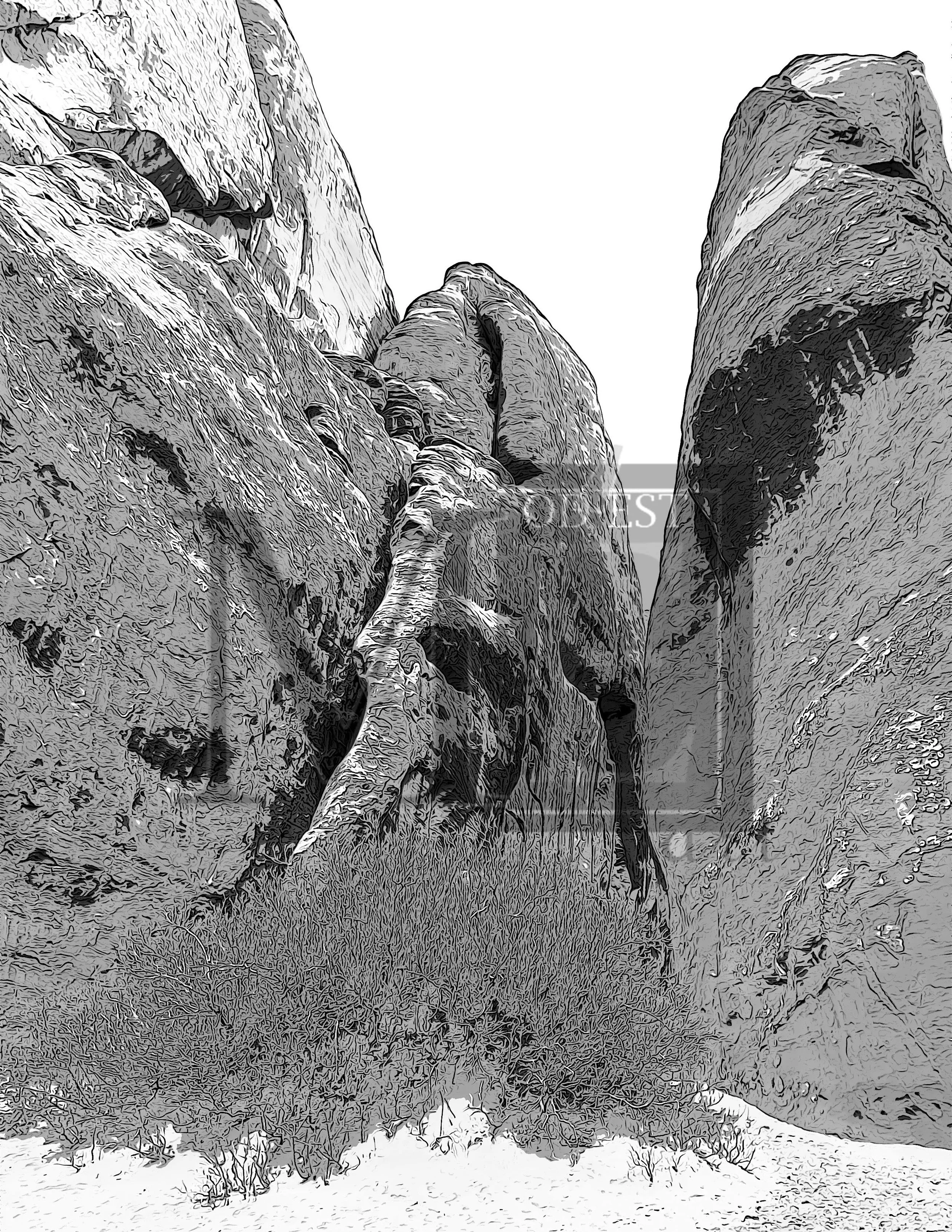 Utah Rock Formation 1