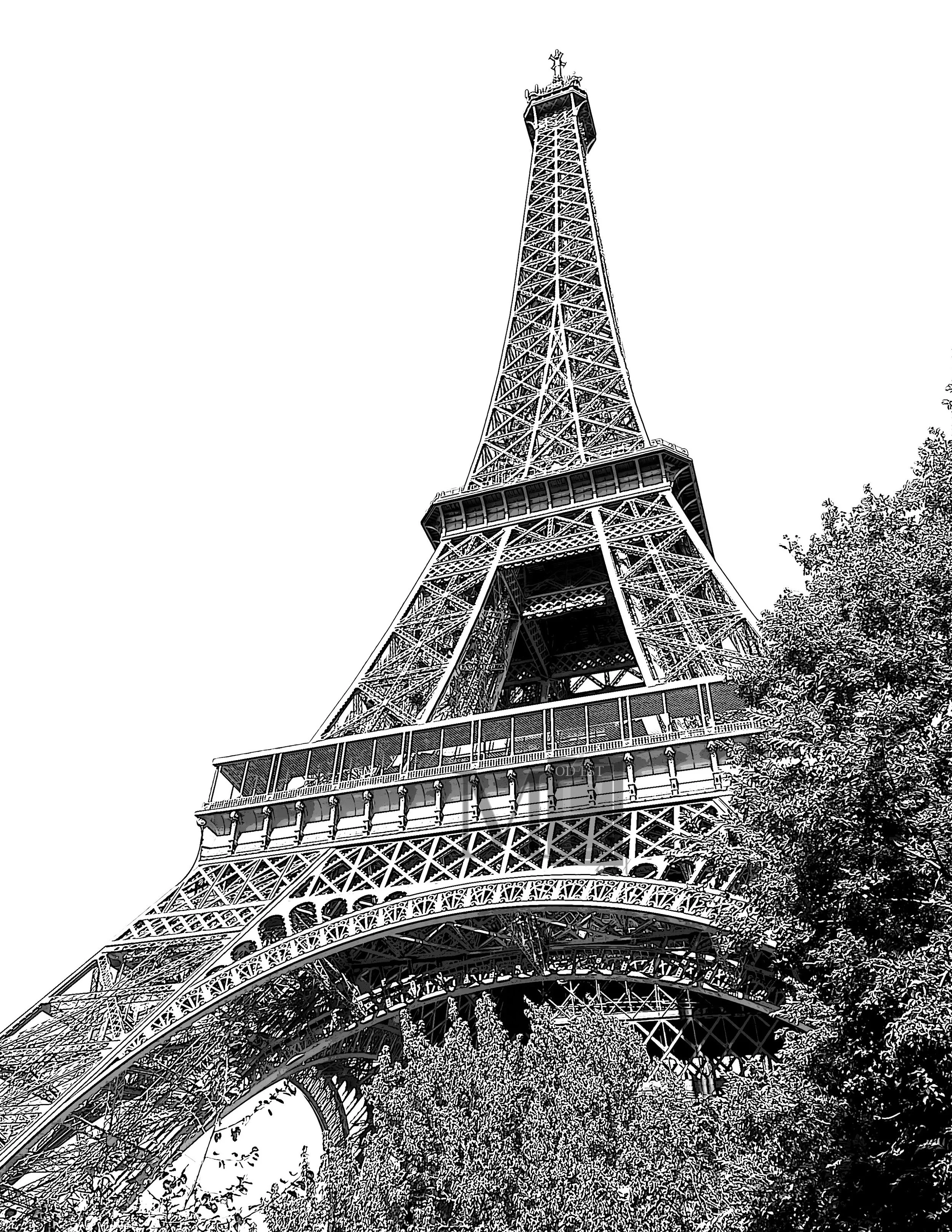 Eiffel Tower 1