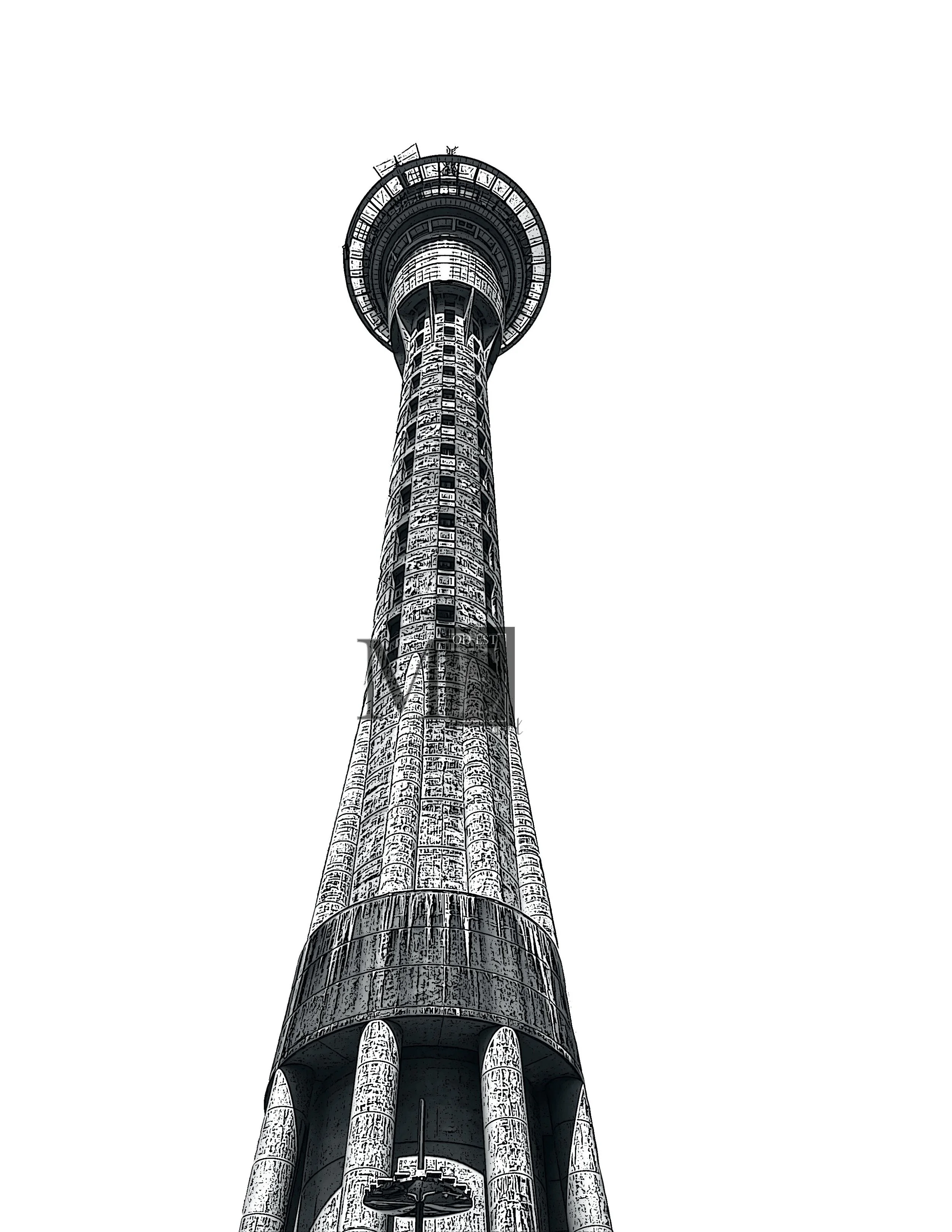 NZ skytower 1.jpg