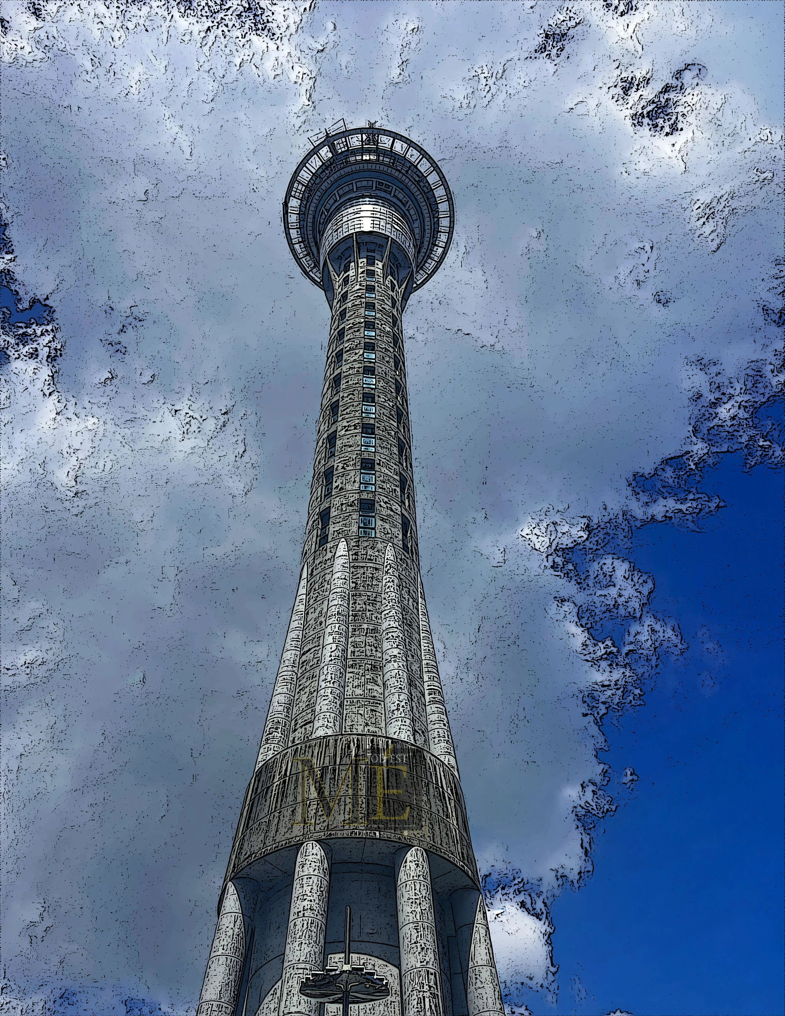 NZ skytower 1 copy.jpg