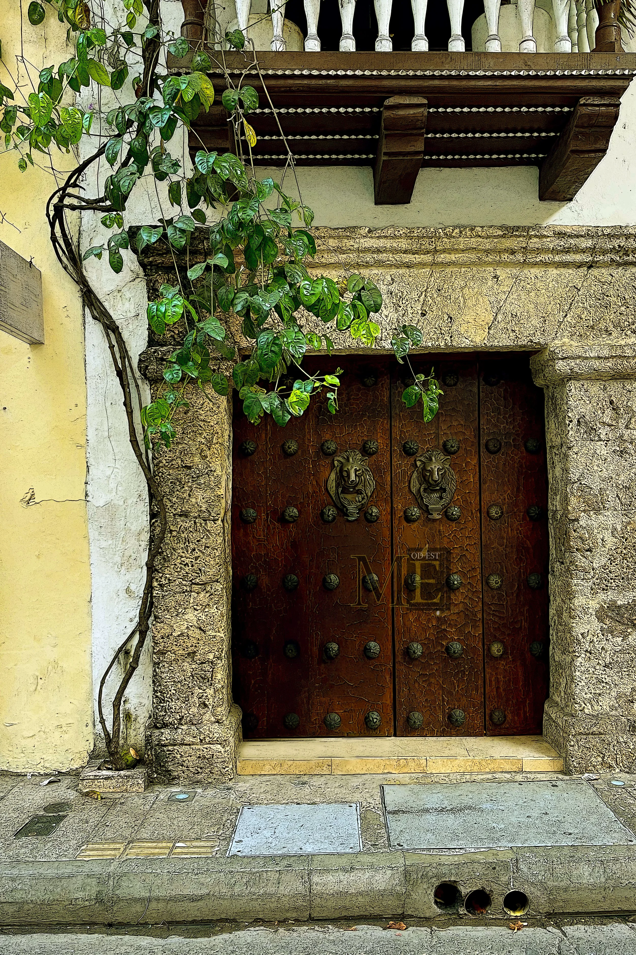 Colombian Door-color 2