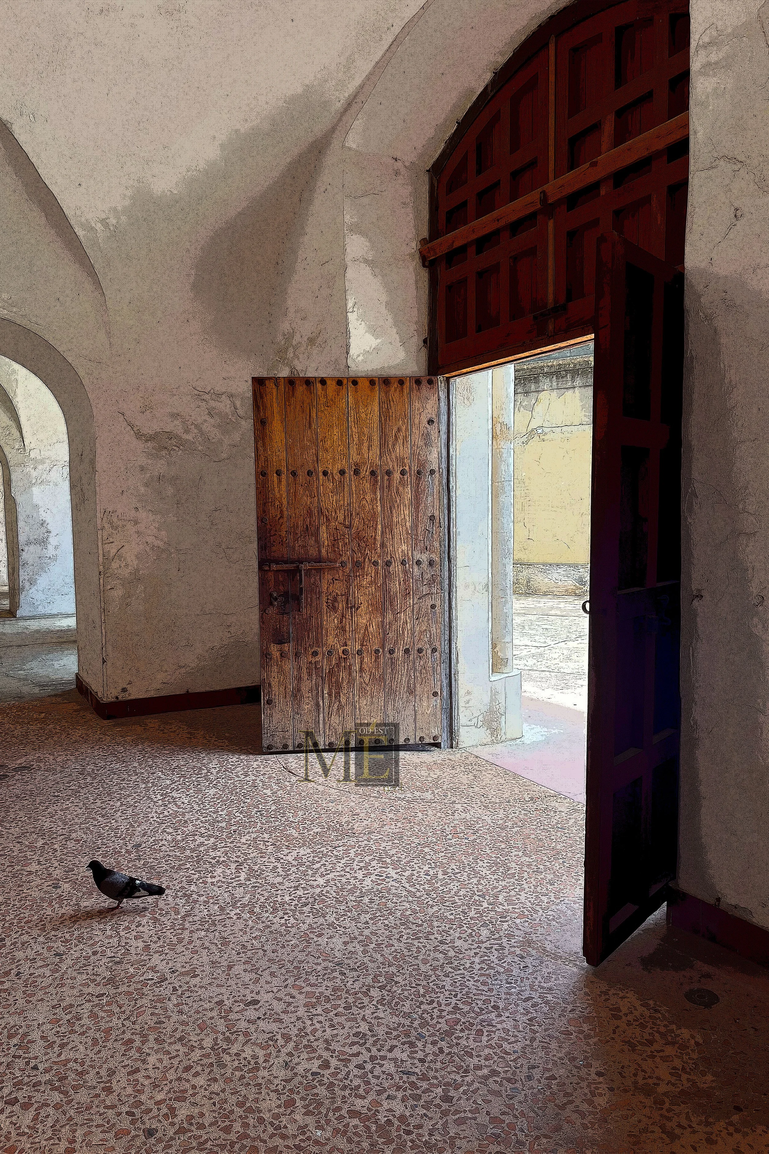 Pigeon in doorway-color 1
