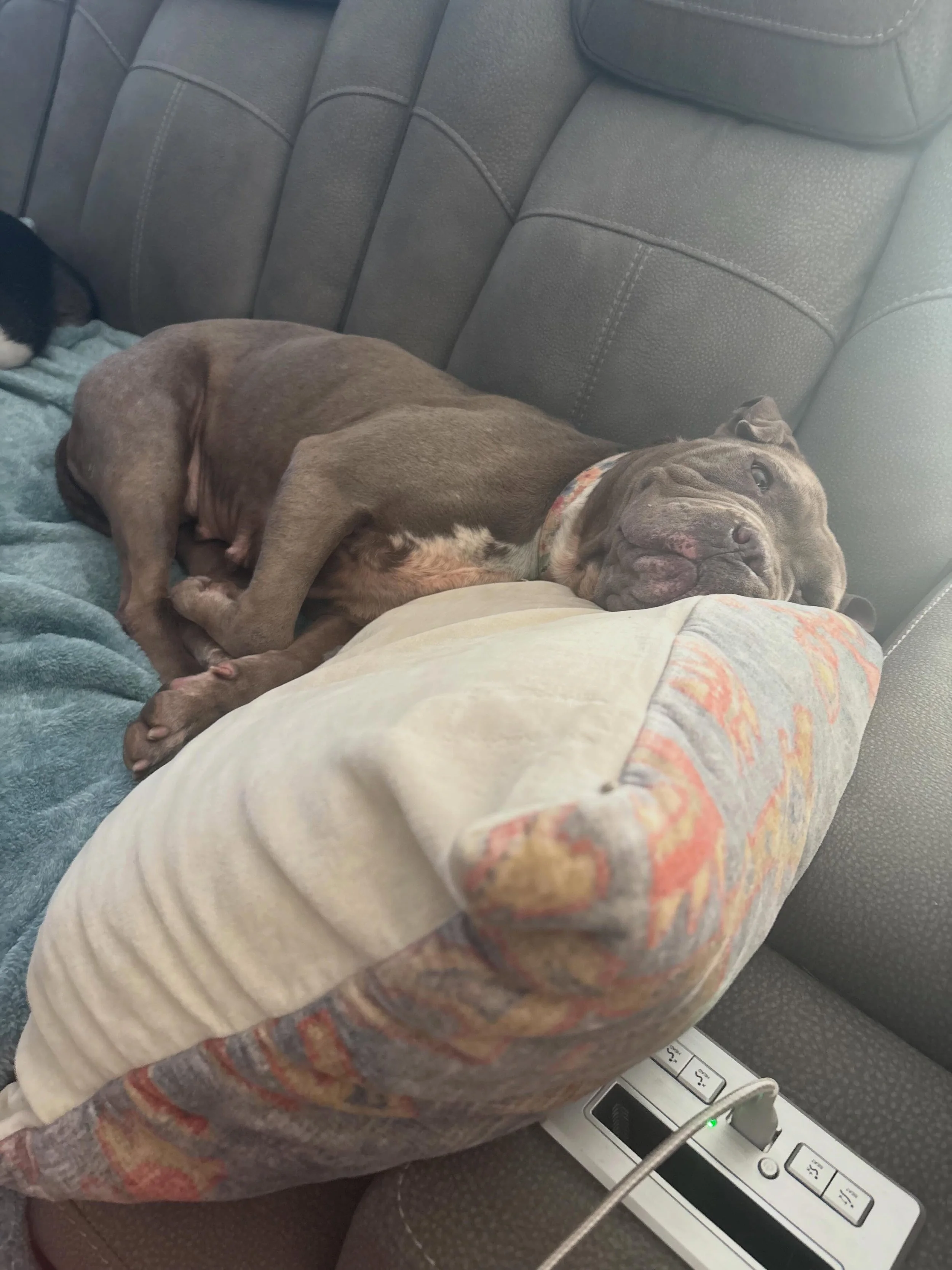 Dolly update 💕