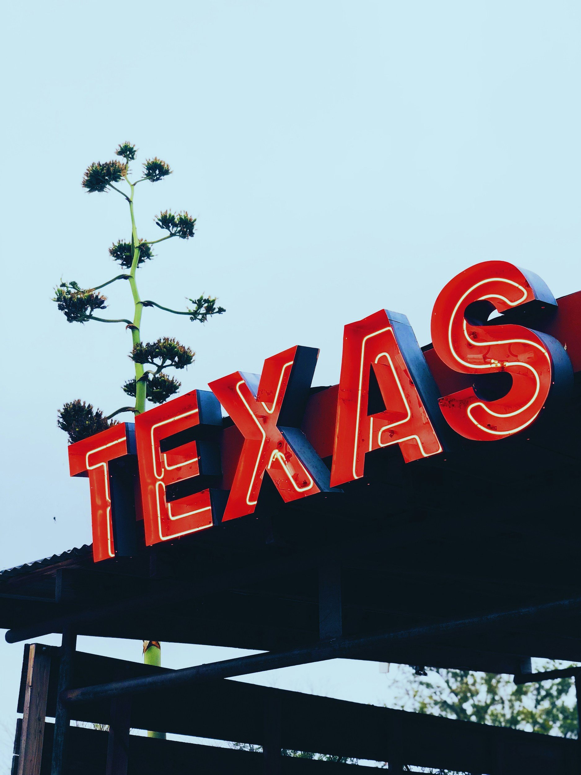 A neon red sign spelling "Texas" with a yellow border, mounted on a black awning against a pale blue sky, with a tall plant and trees in the background.