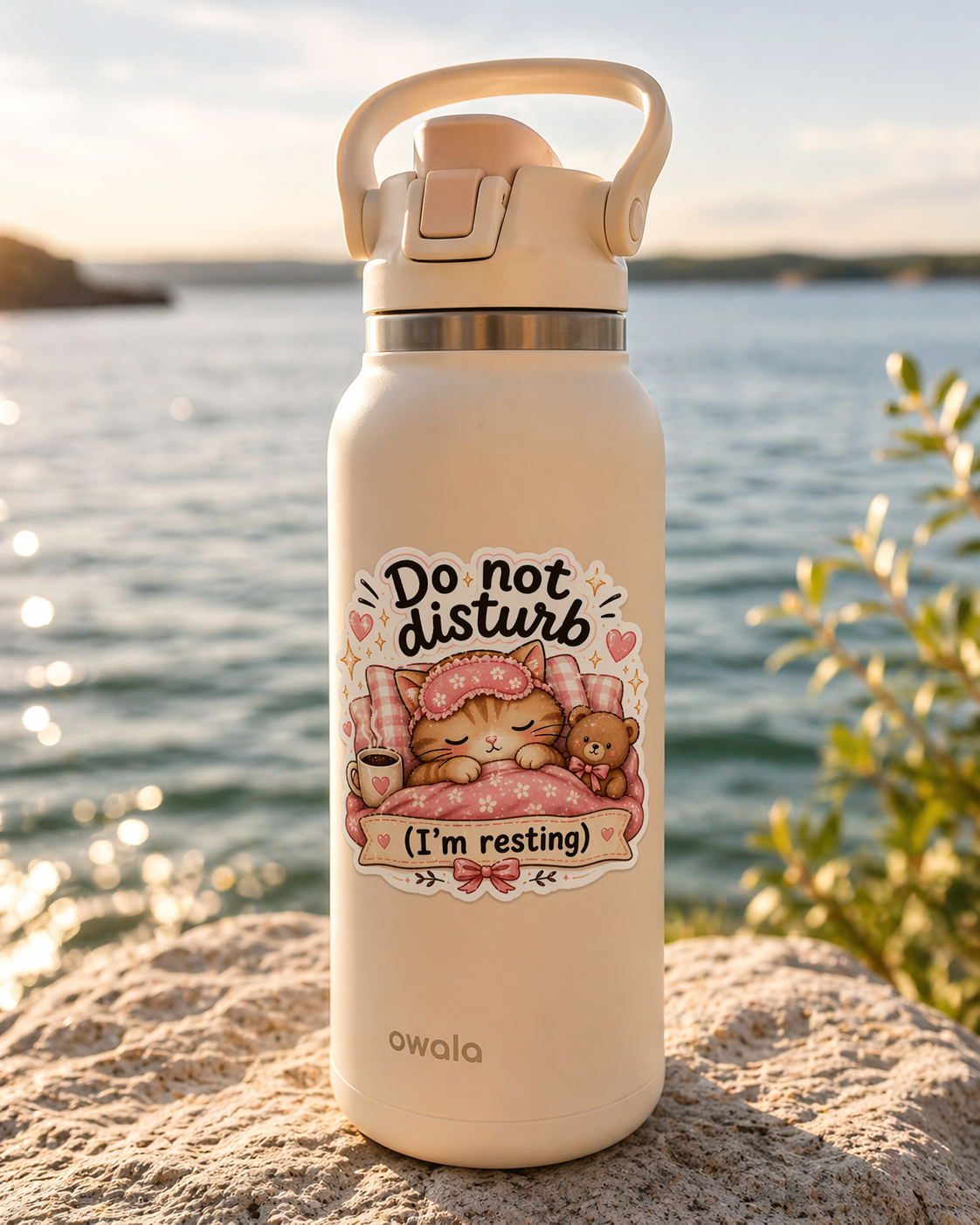 Do not disturb 3.png