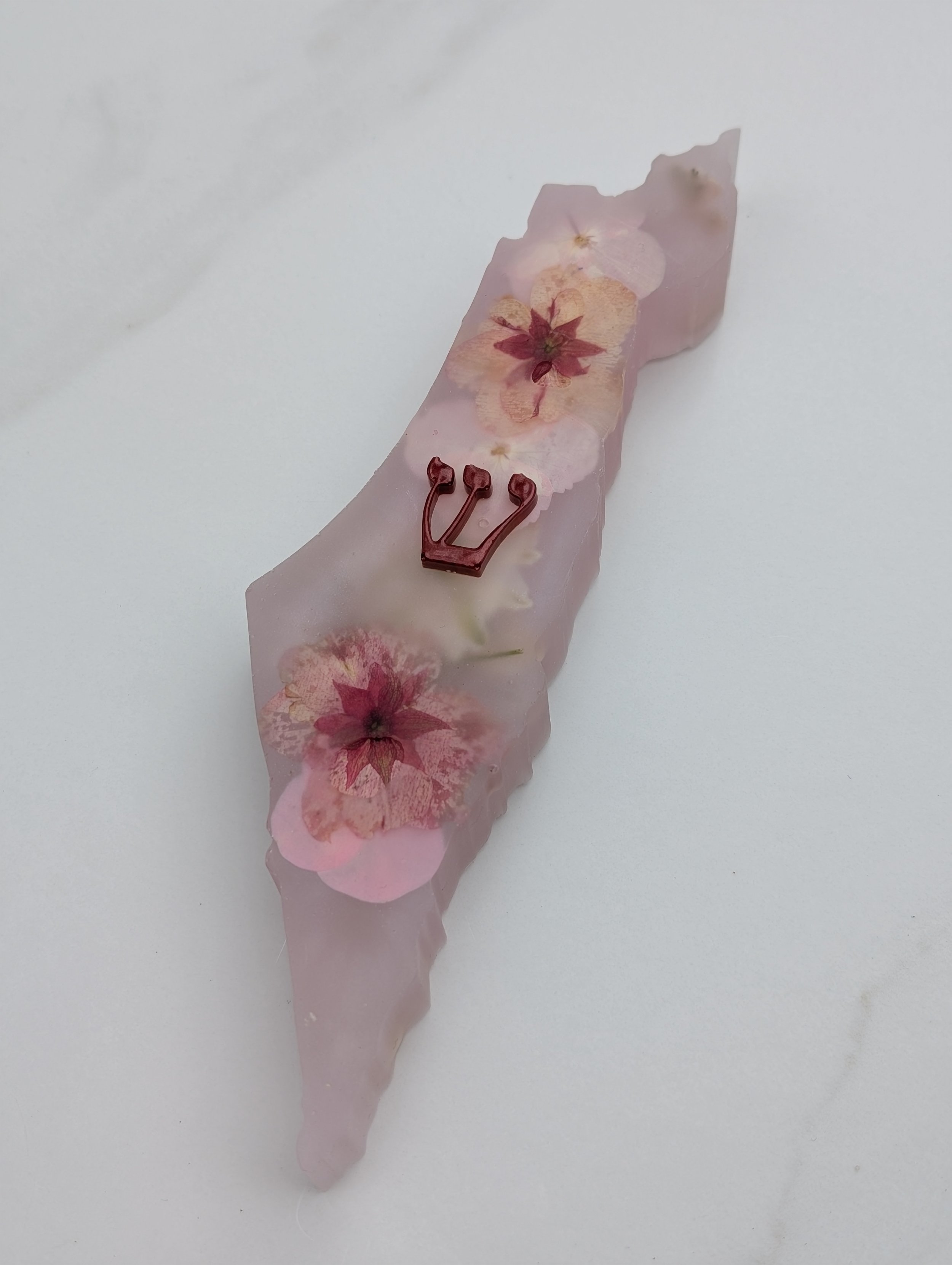Blush Bloom Israel Mezuzah