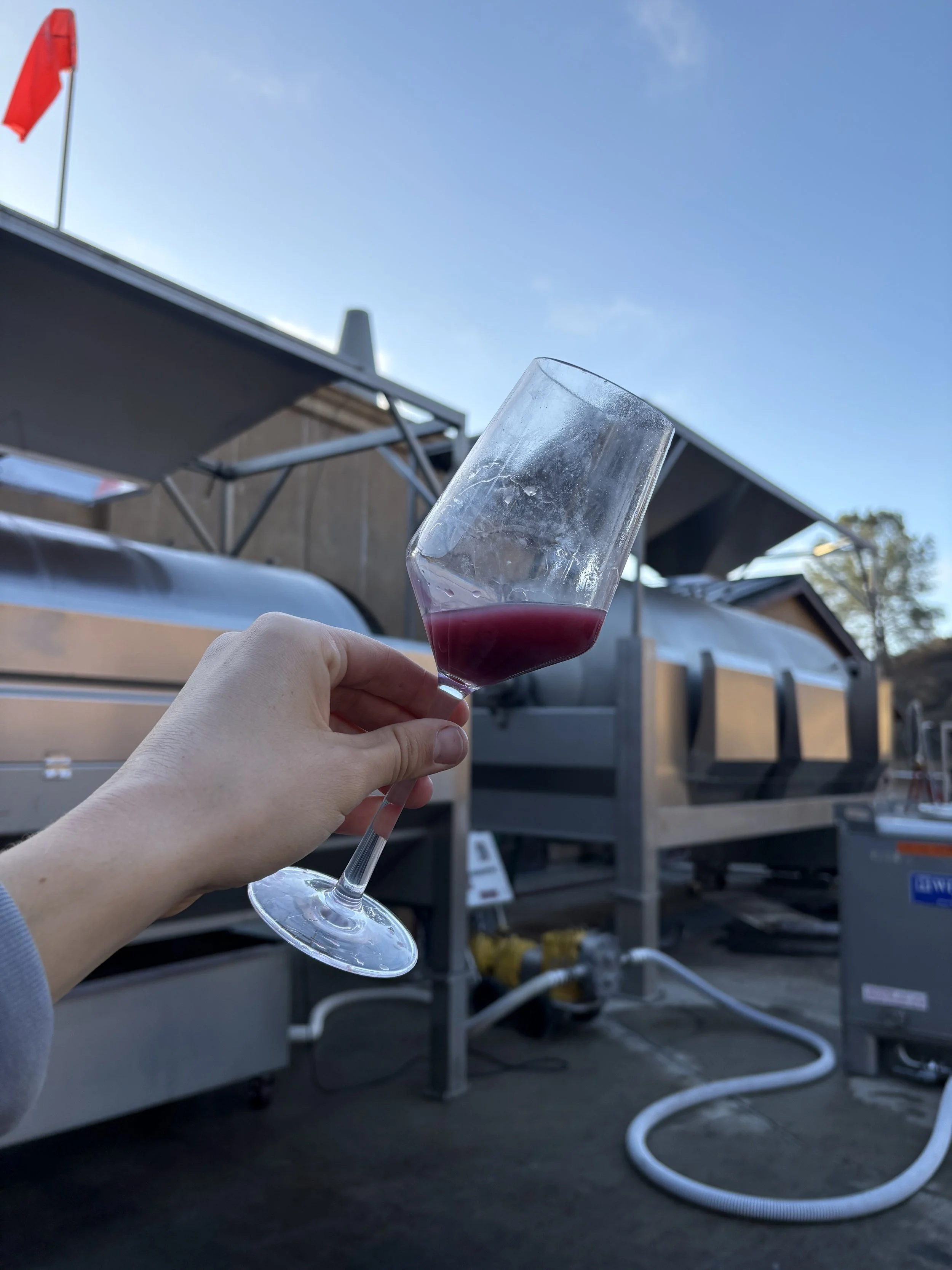 2025 Pinot Noir, Sta. Rita Hills