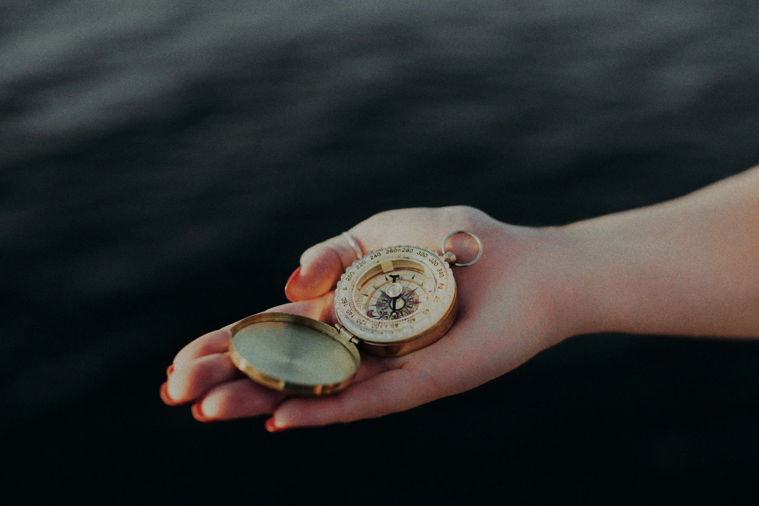 Fraud and integrity investigation services New Zealand