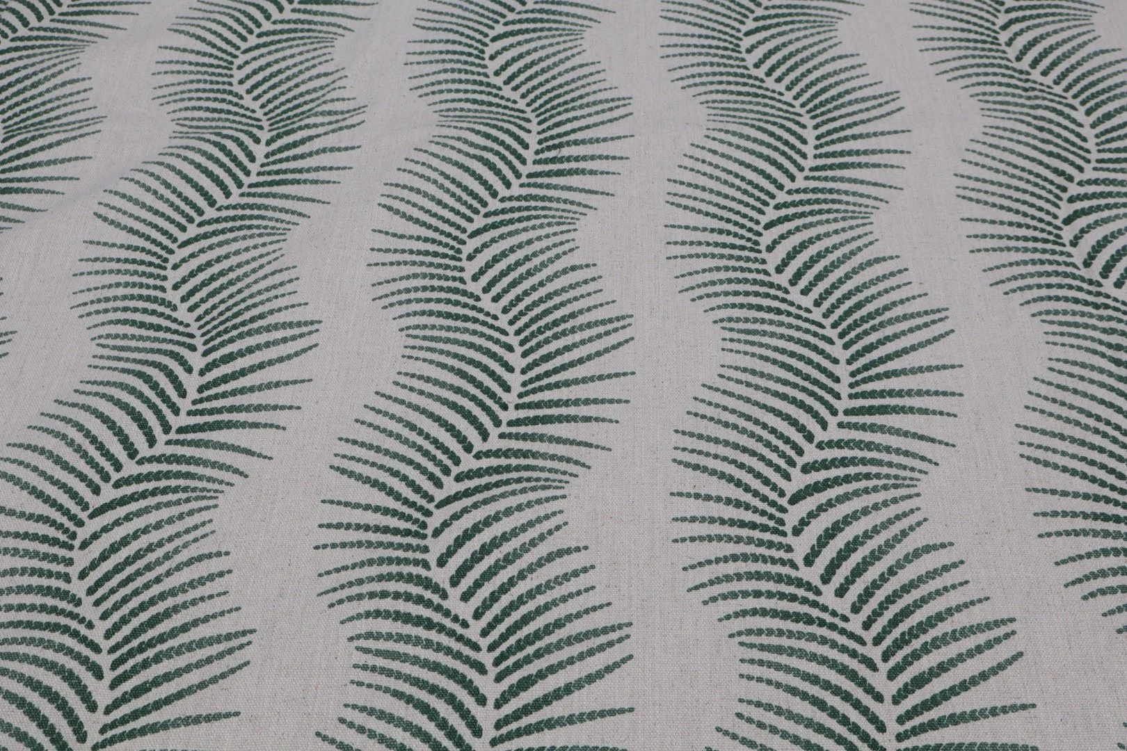 Fern