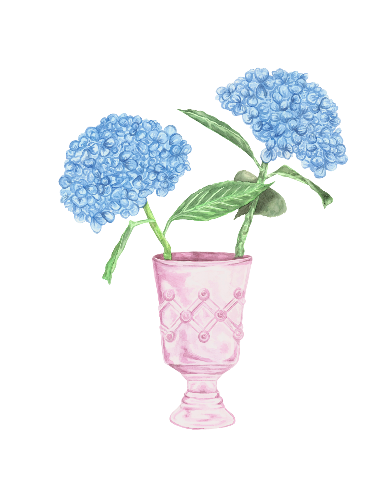 Blue Hydrangeas