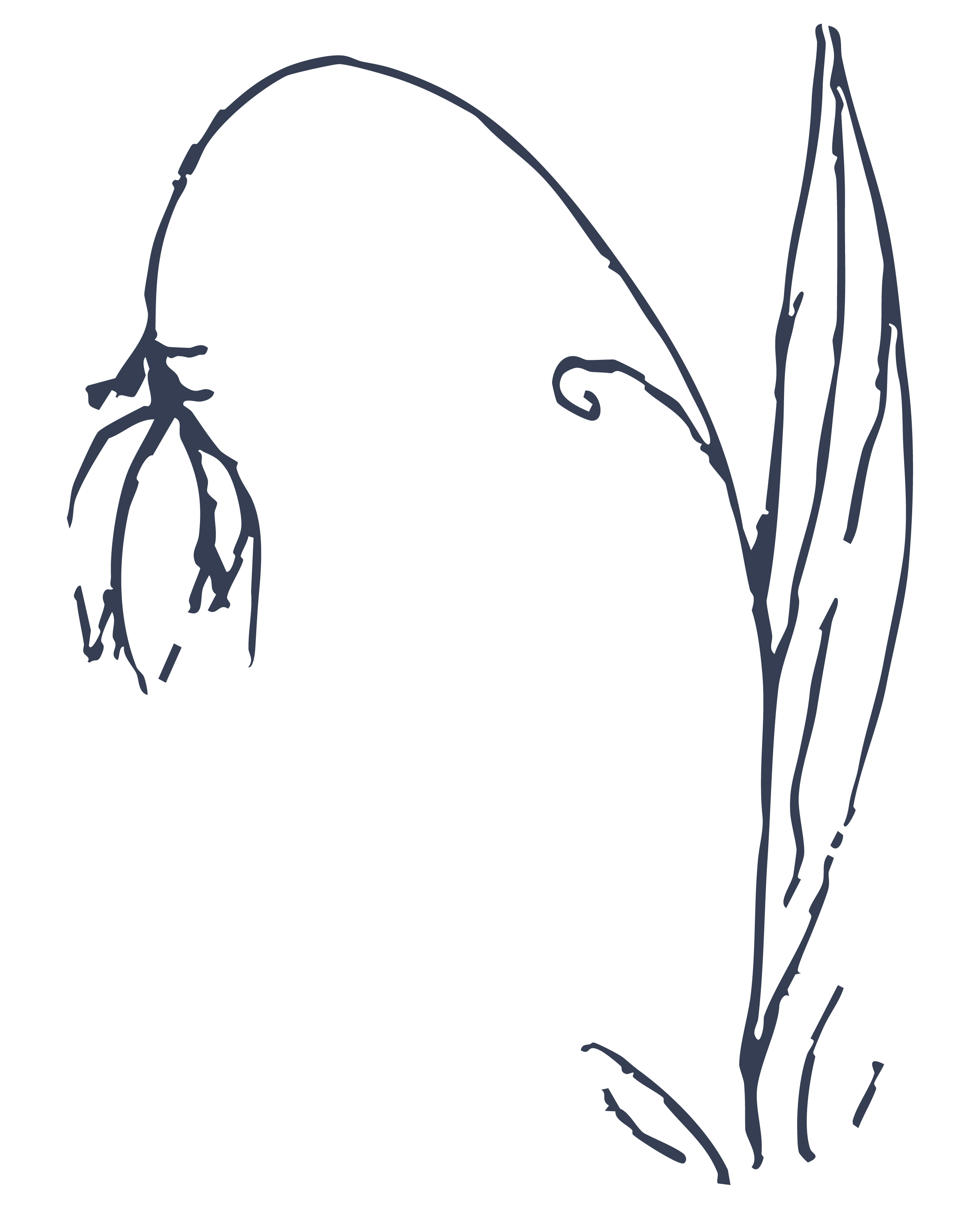 Outline drawing of a flower with long, narrow leaves and a curved stem.
