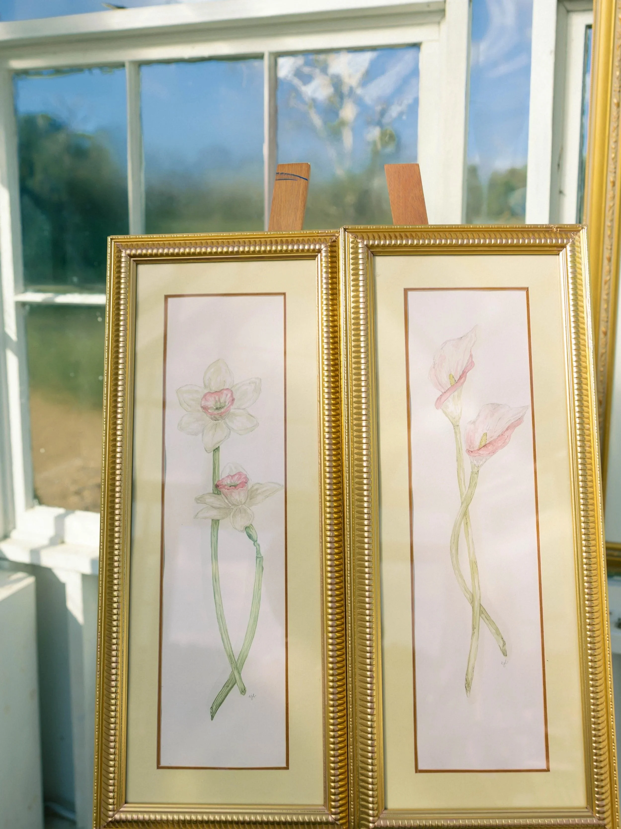 Two gold-framed botanical watercolor paintings of flowers, leaning against a window on wooden stands, with a blurred outdoor background.