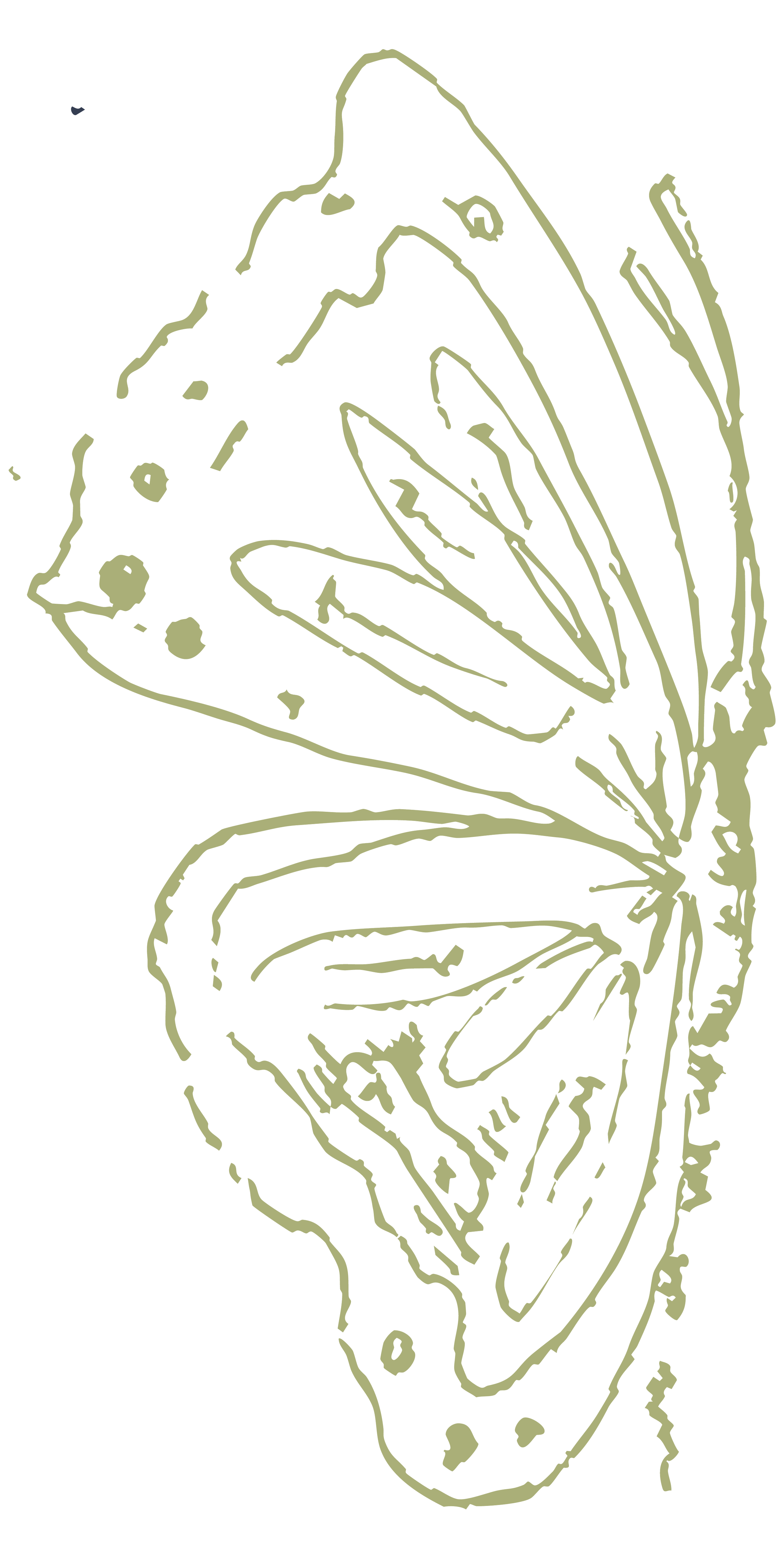Outline illustration of a butterfly with markings on its wings, drawn in a minimalist style against a black background.
