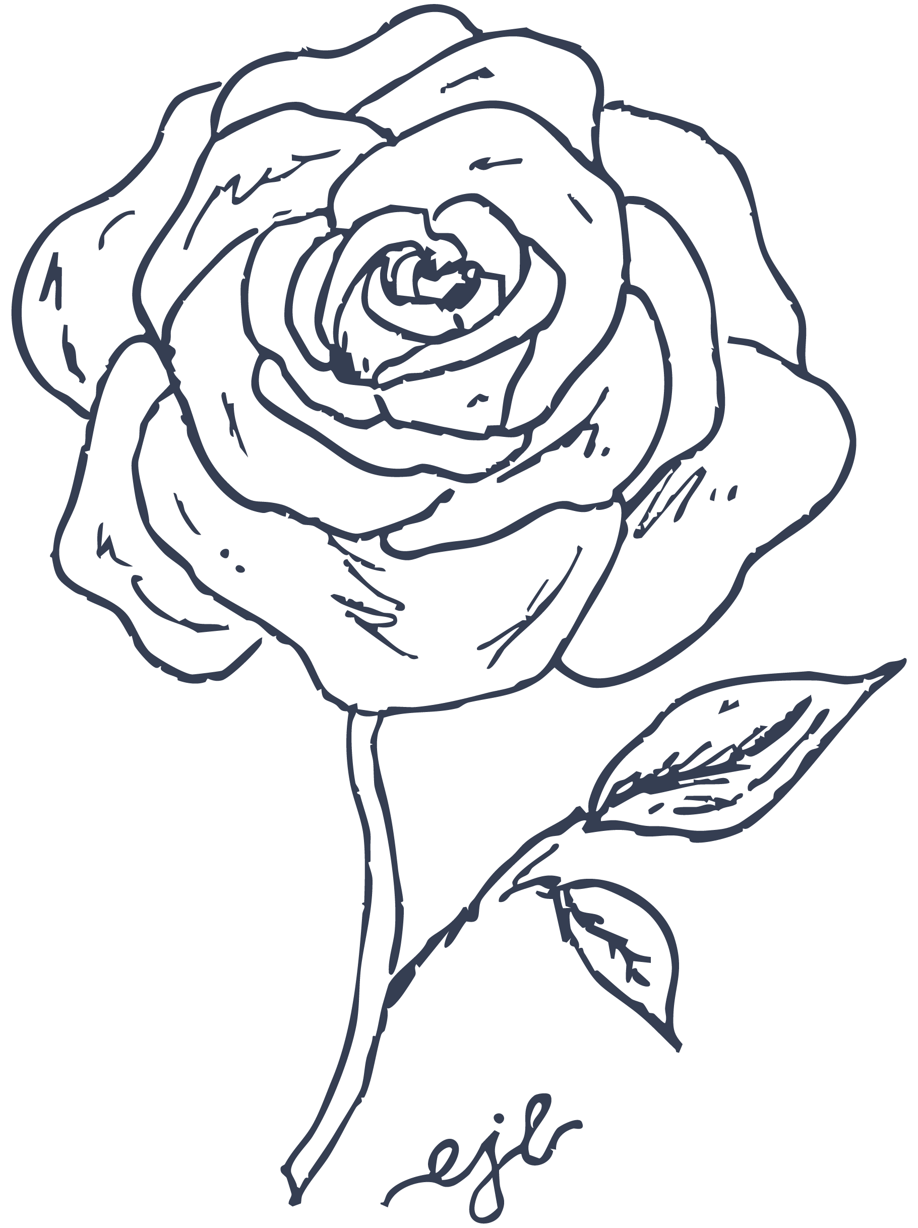 Line drawing of a rose.