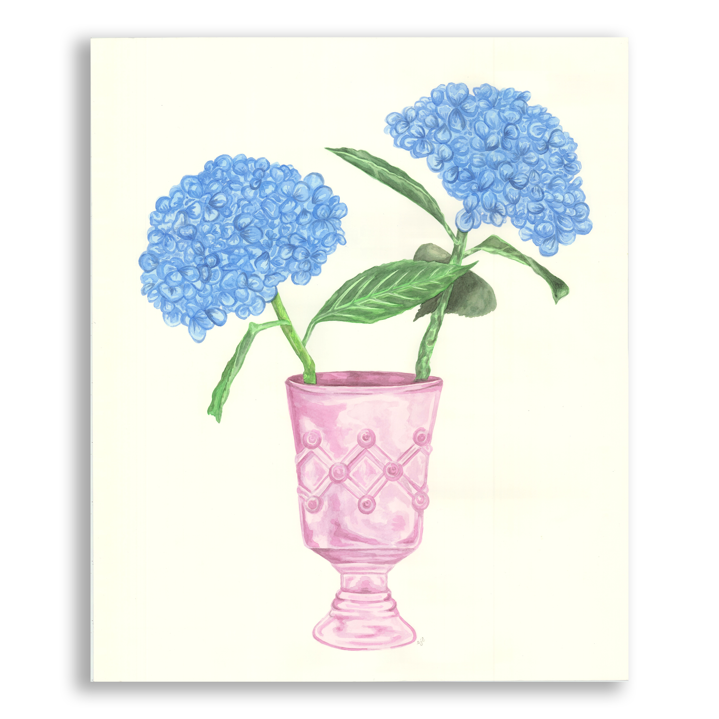 Watercolor painting of two blue hydrangea flowers in a pink vase.