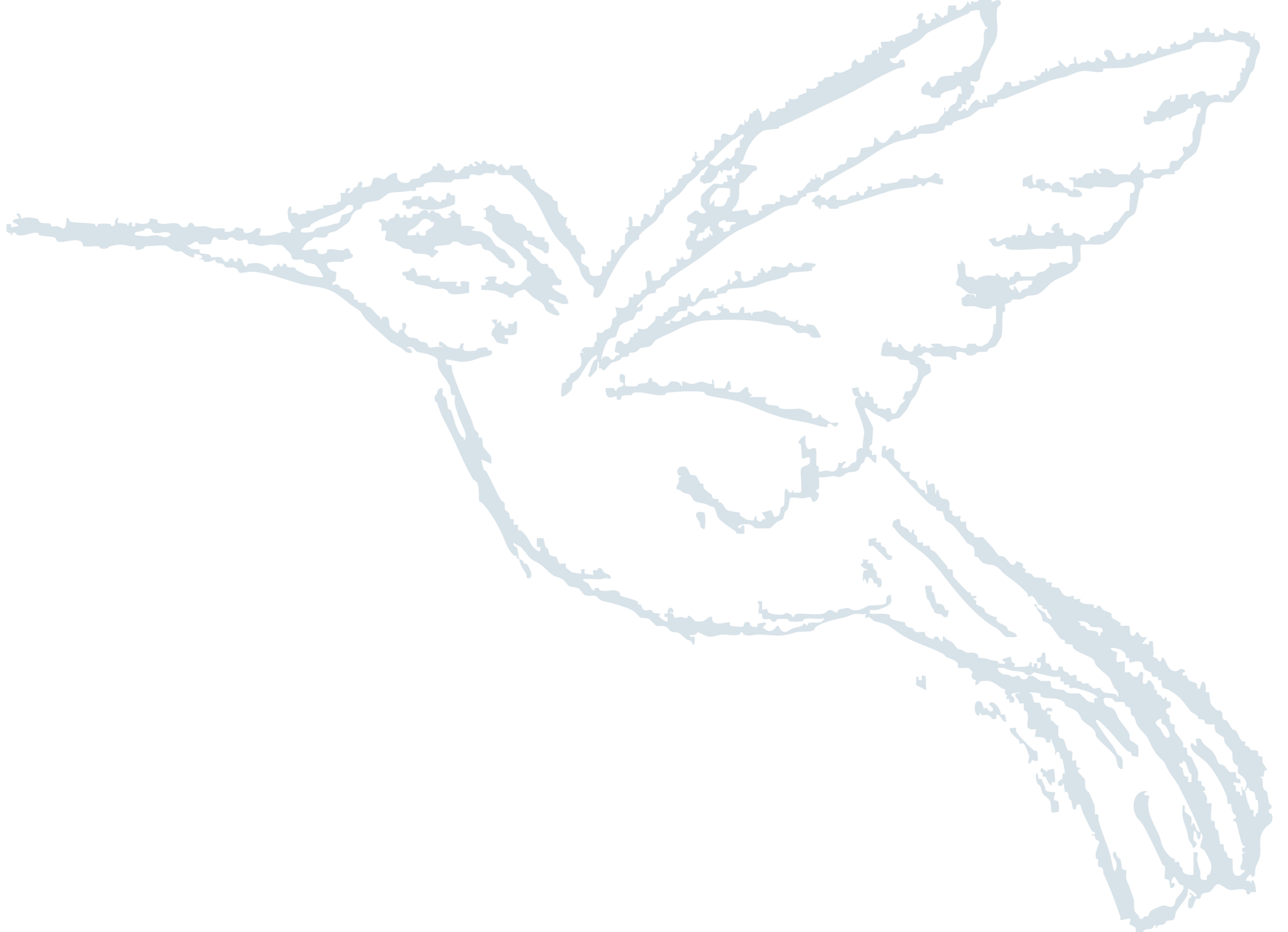 Line drawing of a bird, with flowing wings.