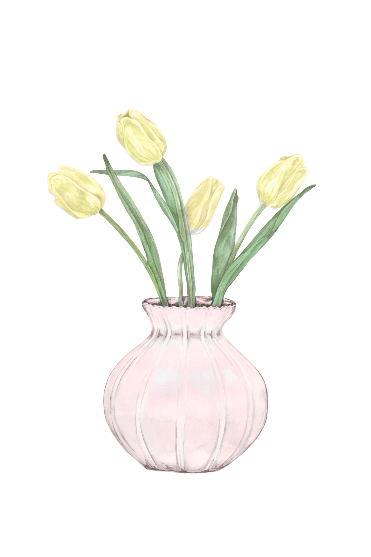 Yellow Tulips