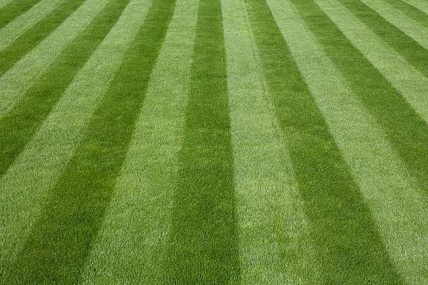 Weekly Lawn Care Serving Springfield, IL., Sherman, Williamsville, Athens, Chatham, Rochester