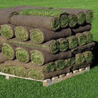 Sod Installation Springfield, IL. Sherman, Chatham, Rochester, Williamsville, Athens