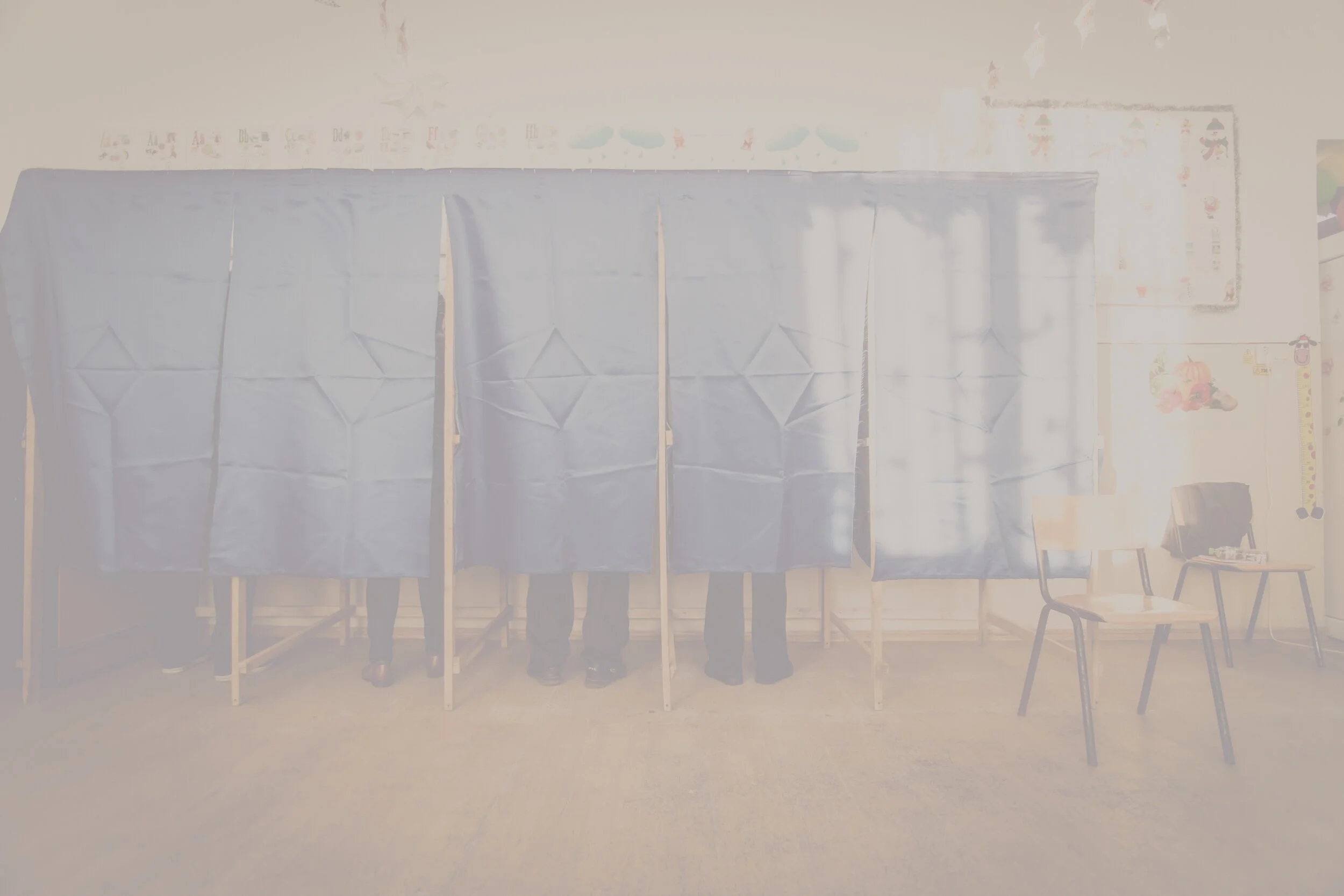 voting1 shaded light grey.jpg