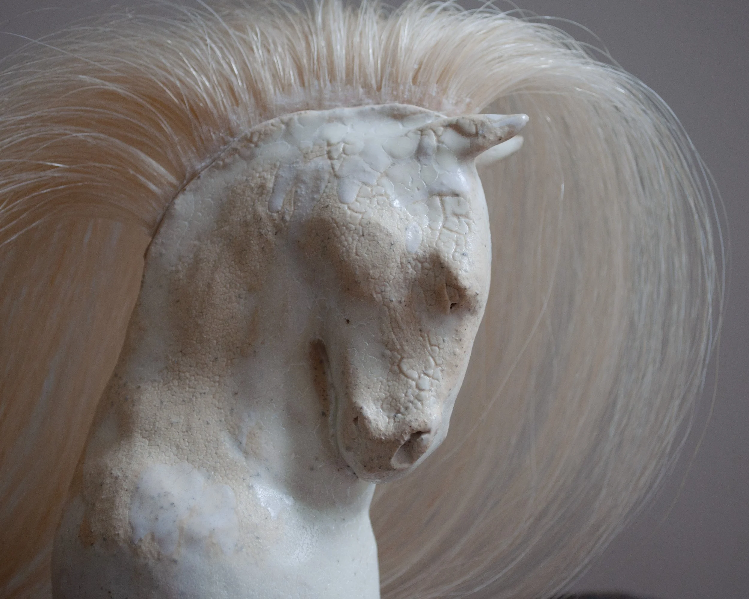 horsesnuffer3.jpg