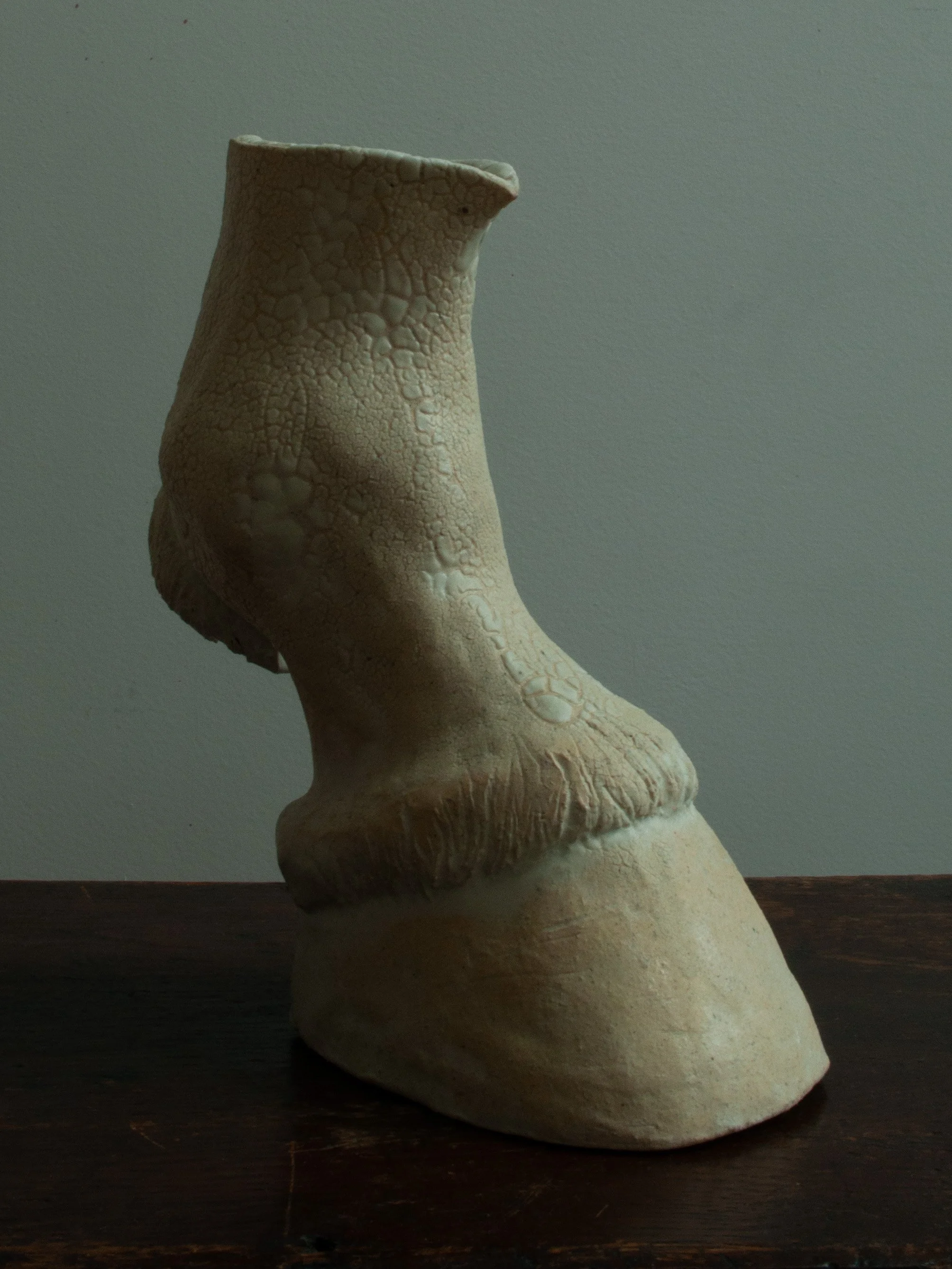 hoof2.jpg