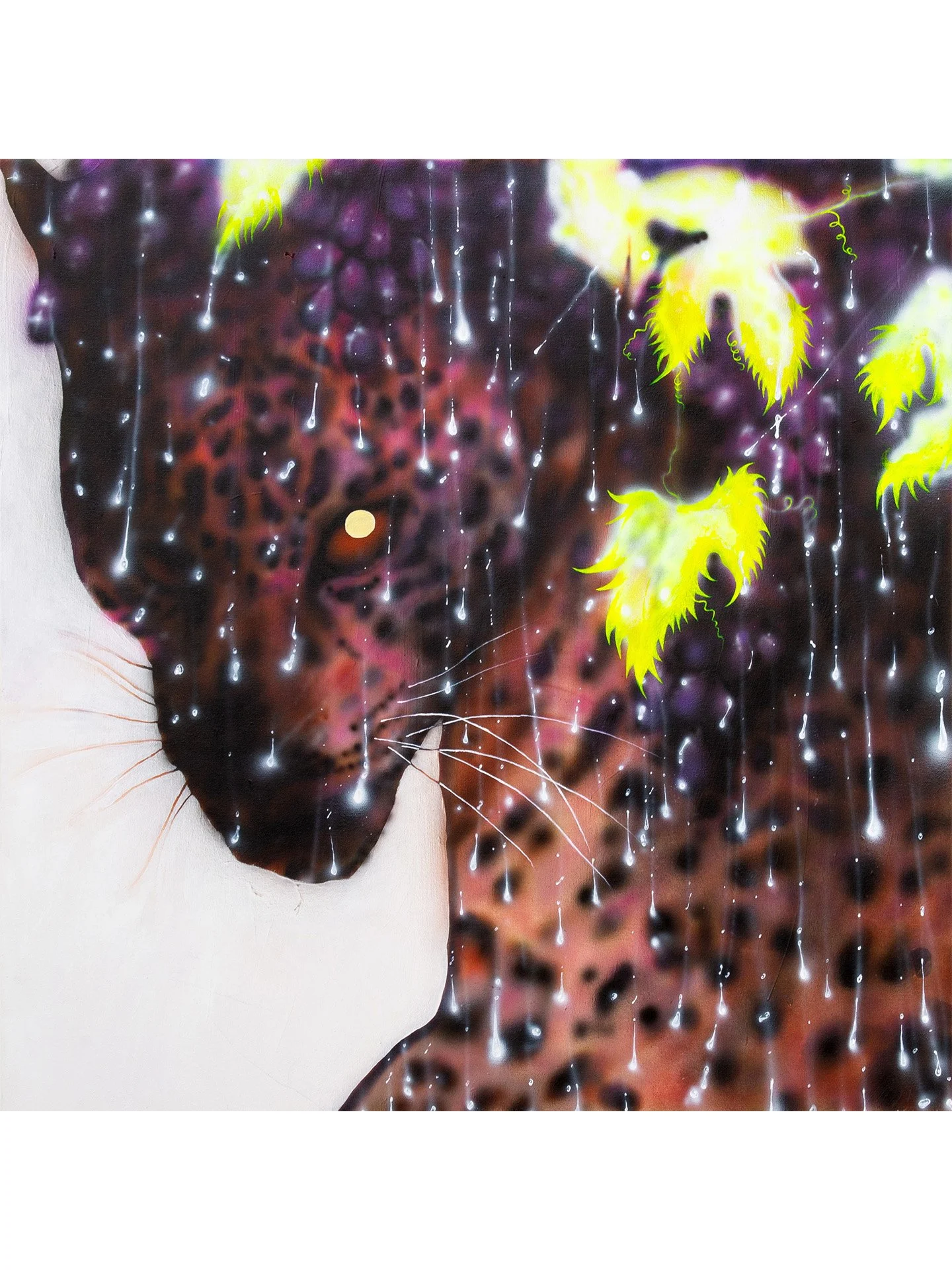 leopardforweb.jpg
