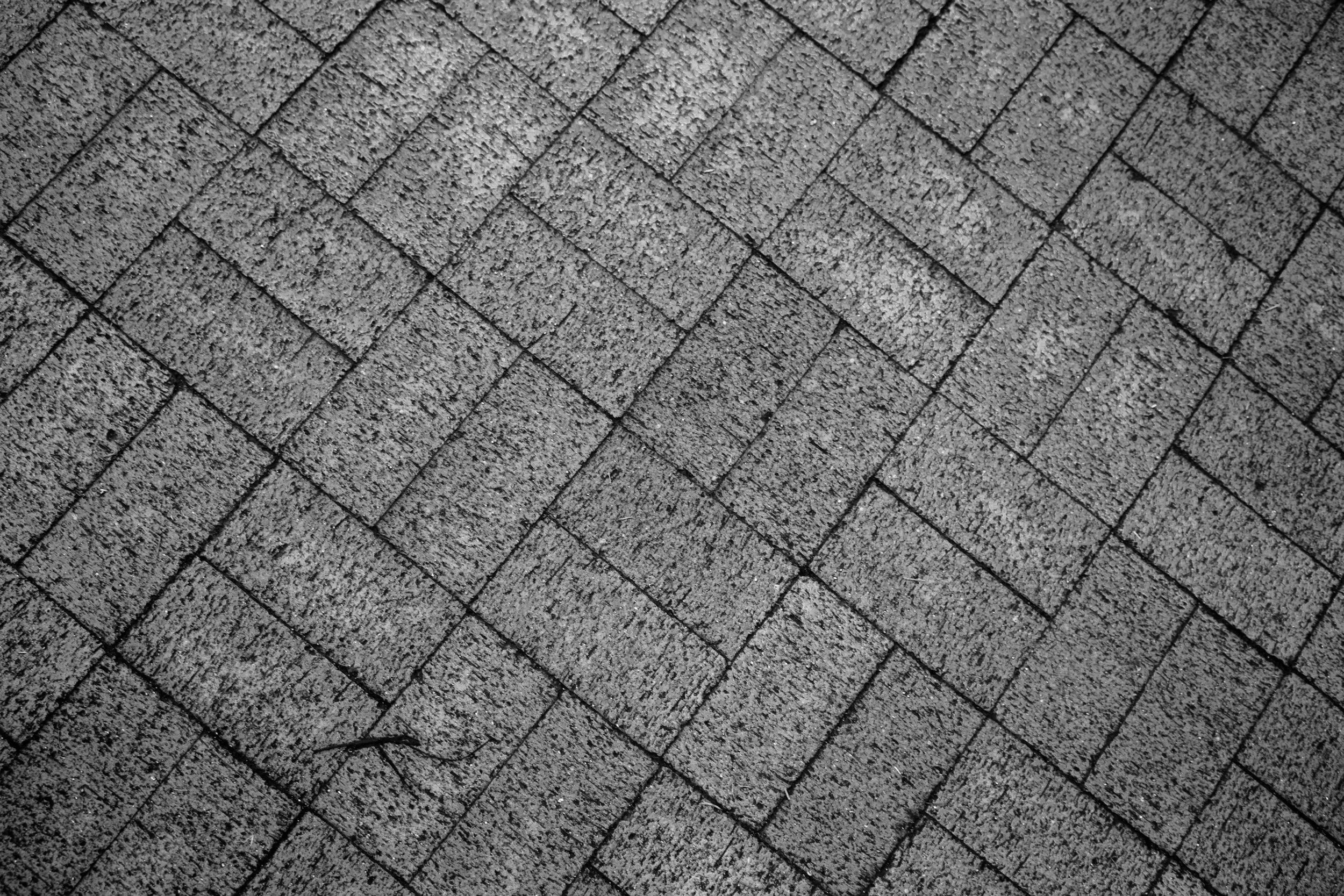Close-up of a paved walkway with interlocking gray bricks arranged in a herringbone pattern.