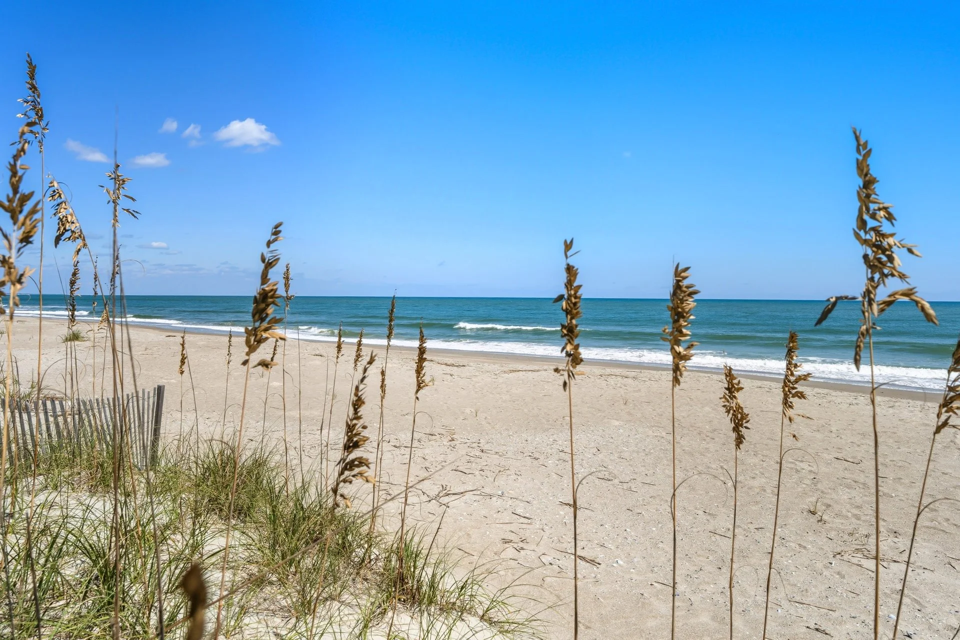 Sandy beach with tall grasses in the foreground, an ocean with gentle waves in the middle, and a clear blue sky with a few small clouds in the background.