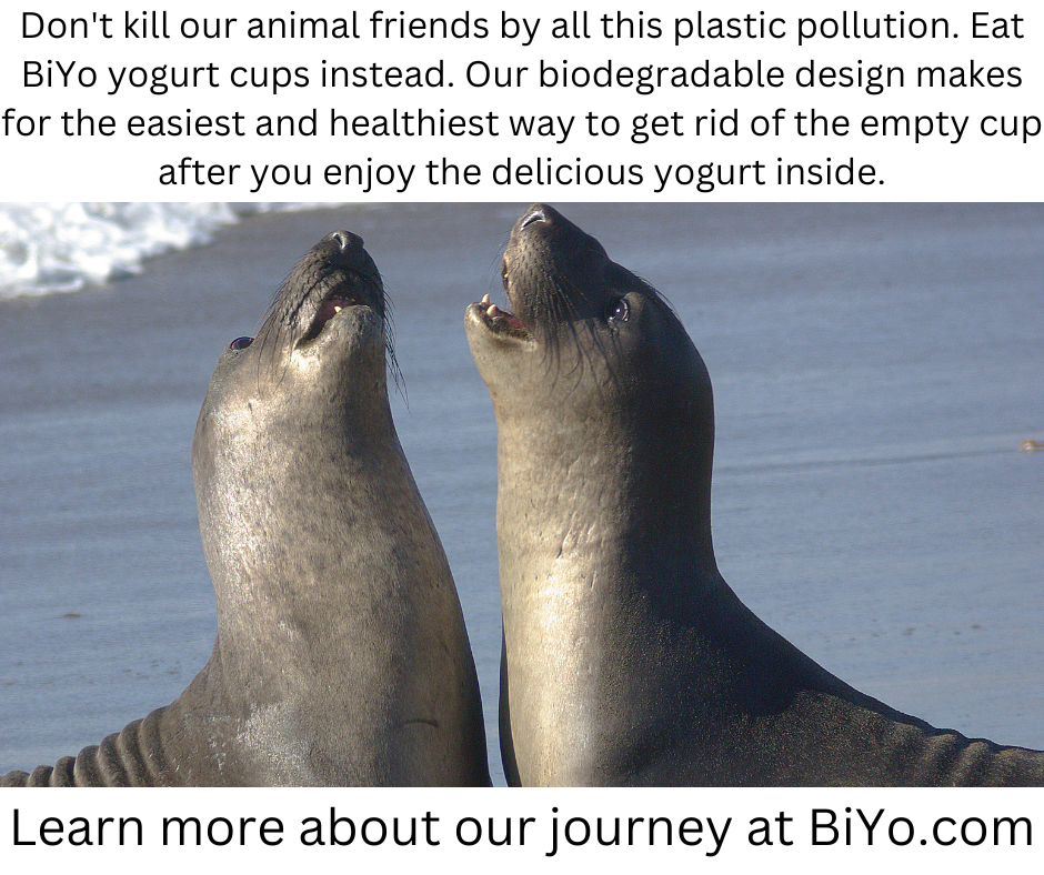 BiYo Facebook post.png