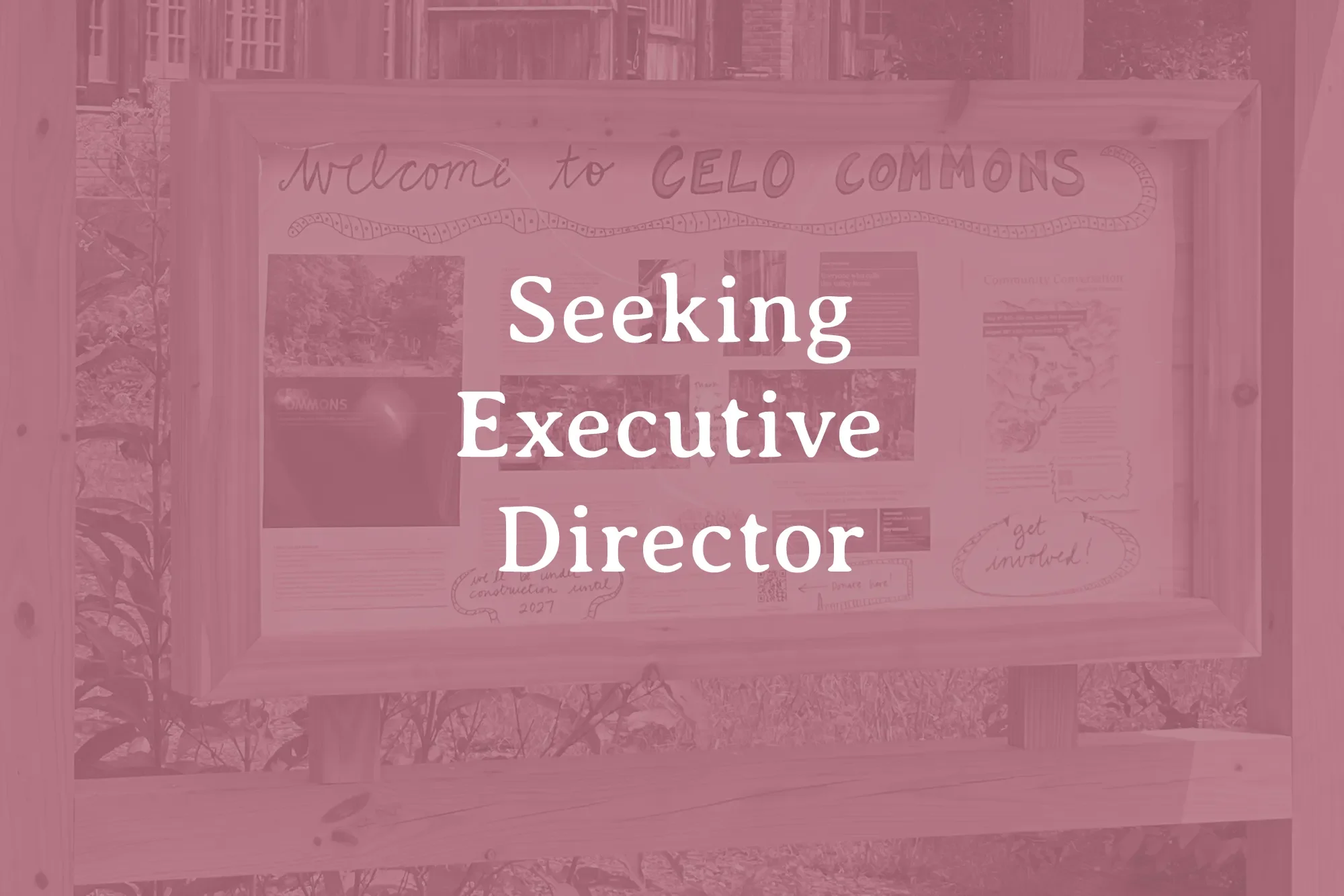 Seeking Executive Director