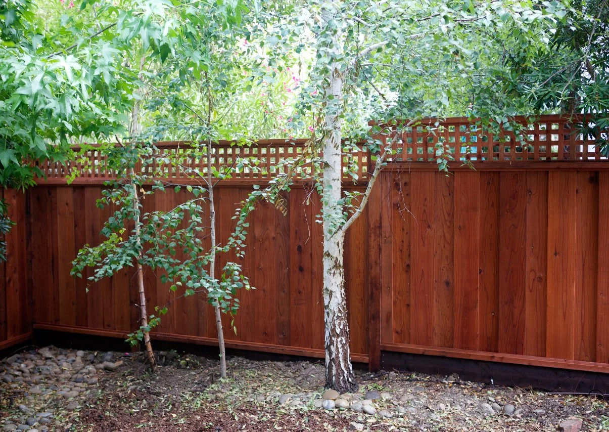 fence-redwood-city-IMG_0267-balanced.jpg