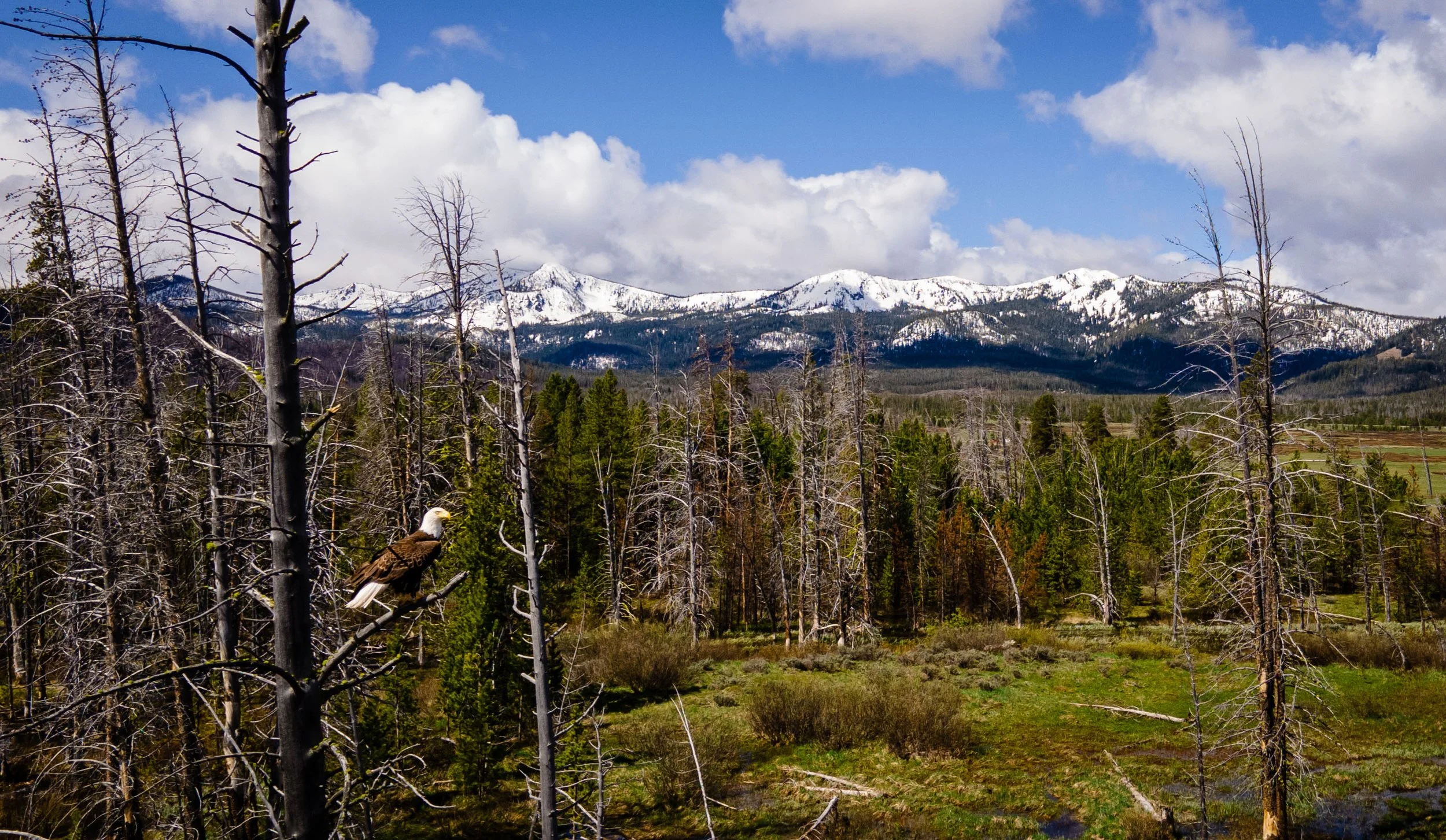 DJI_0039.jpg