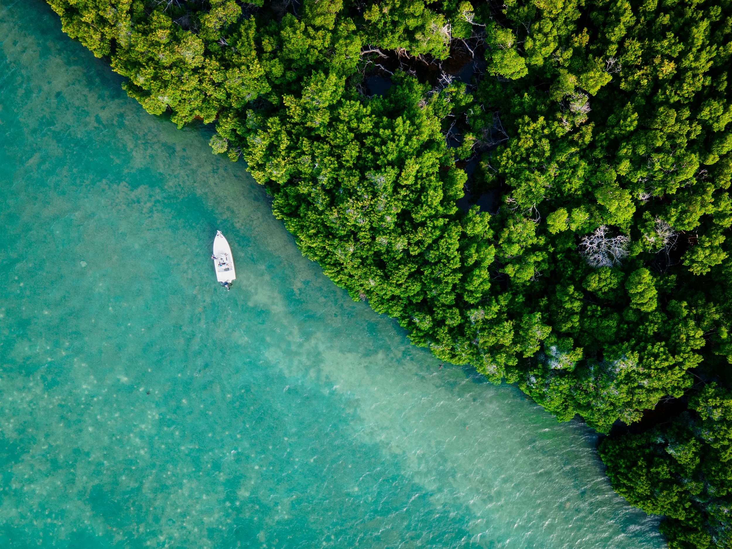 DJI_0007.jpg