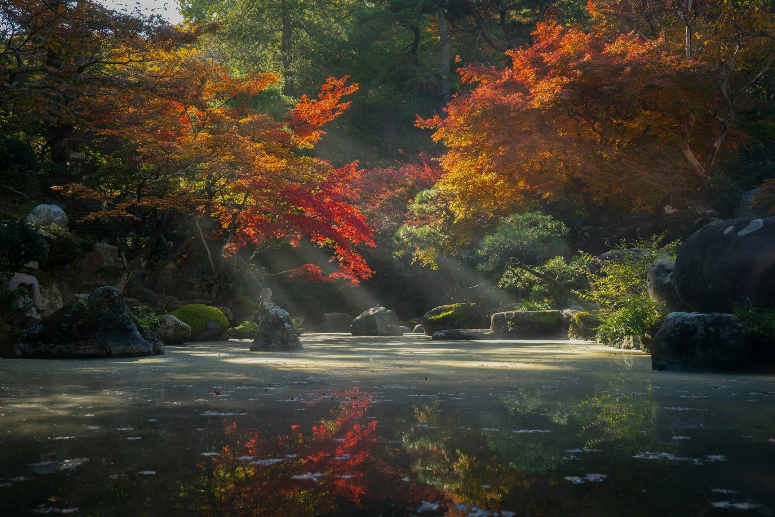 A tranquil river surrounded by trees with vibrant fall foliage, sunlight filtering through the leaves, and rocks along the riverbank.